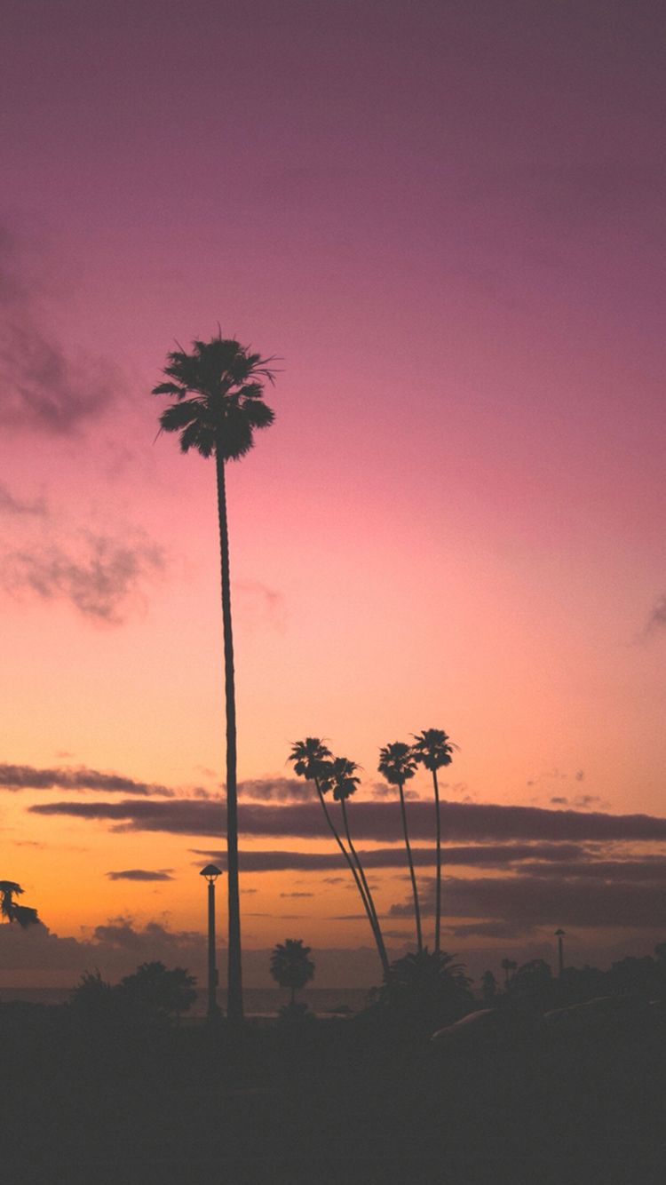 1125x2436 Sunset Chill 5k Iphone XSIphone 10Iphone X HD 4k Wallpapers  Images Backgrounds Photos and Pictures