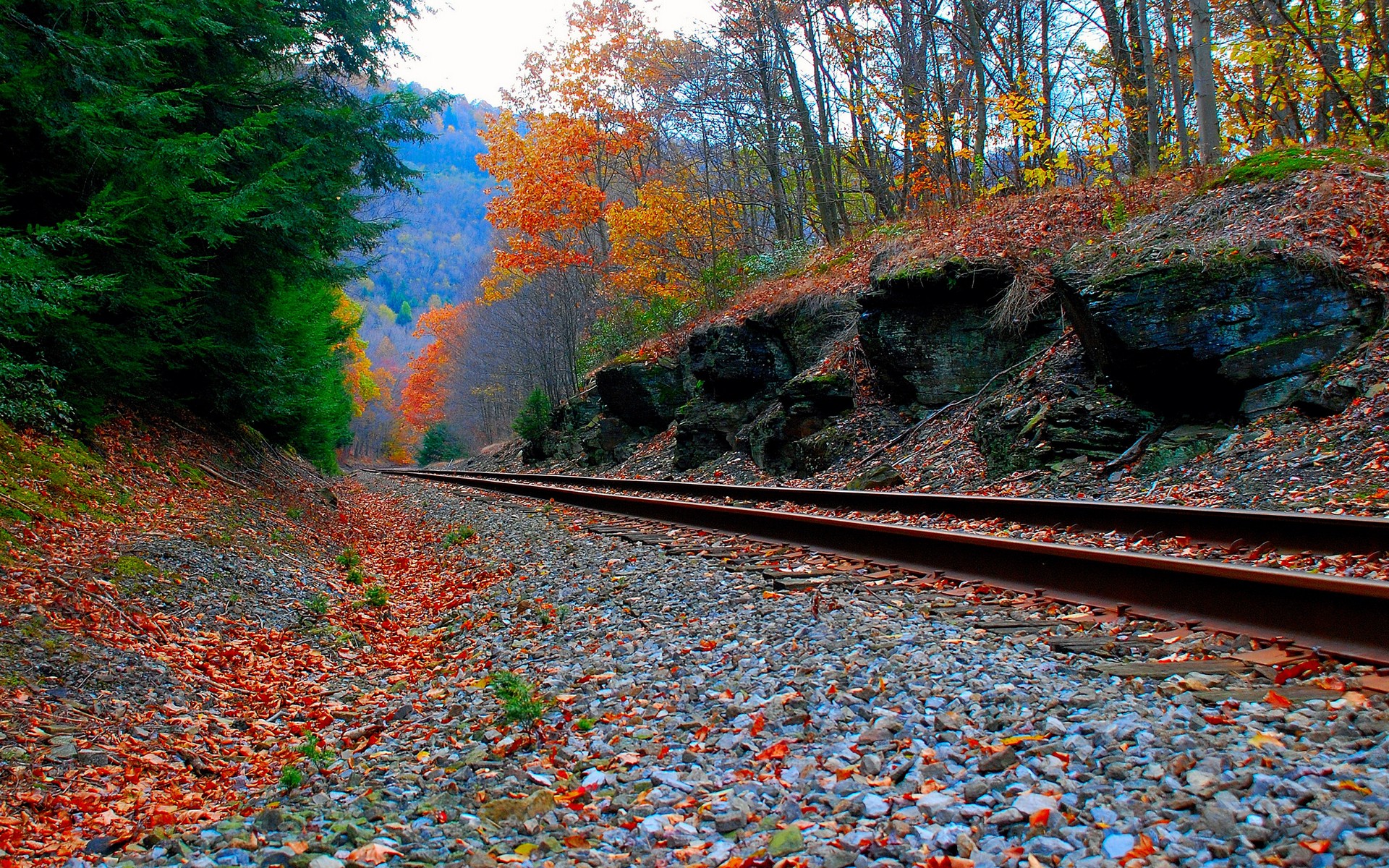 Download Wallpaper forest autumn rails railroad, 1920x1200, Railway in autumn forest