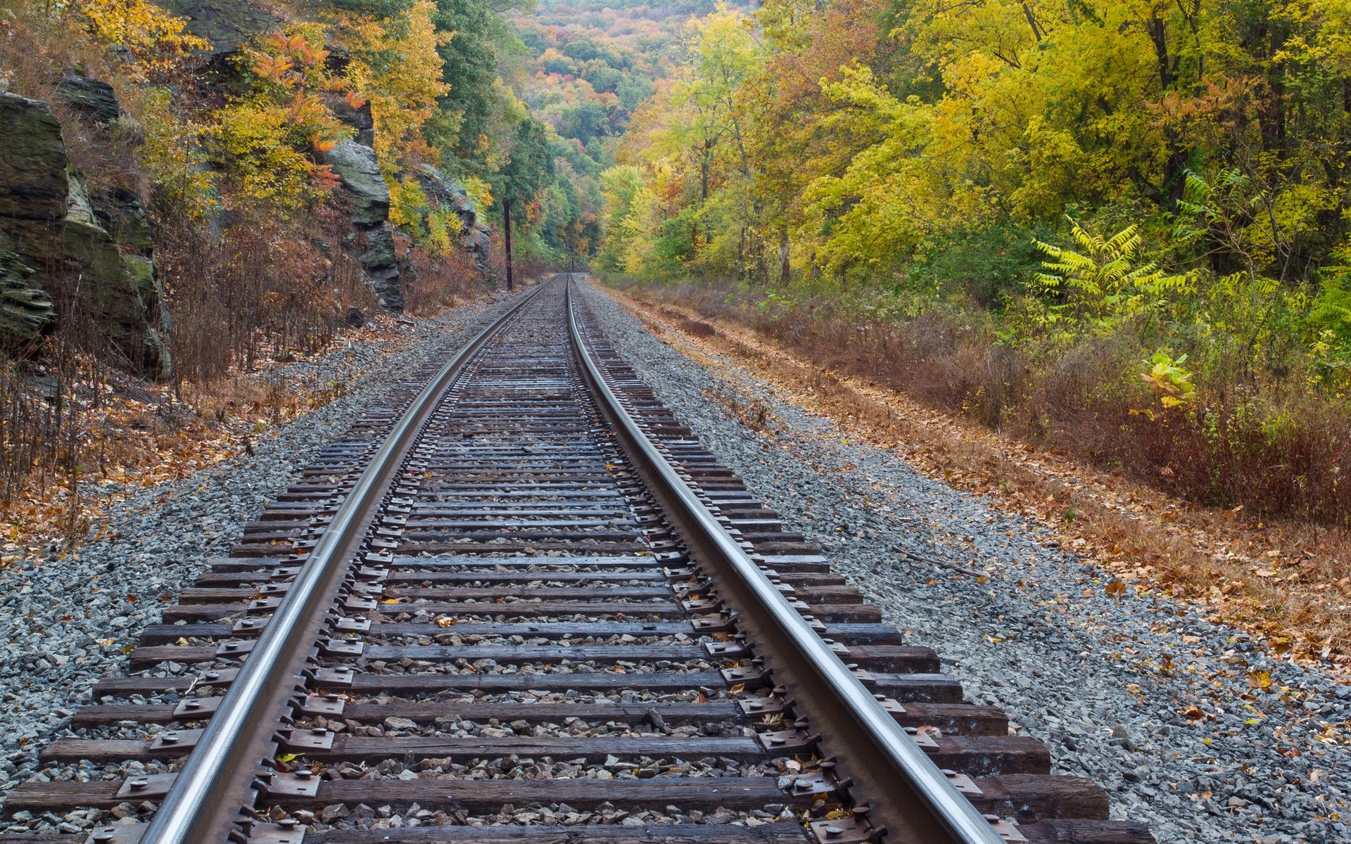 Wallpaper, vehicle, train, railway, autumn, track, lane, nonbuilding structure, rail transport, rolling stock 1920x1200