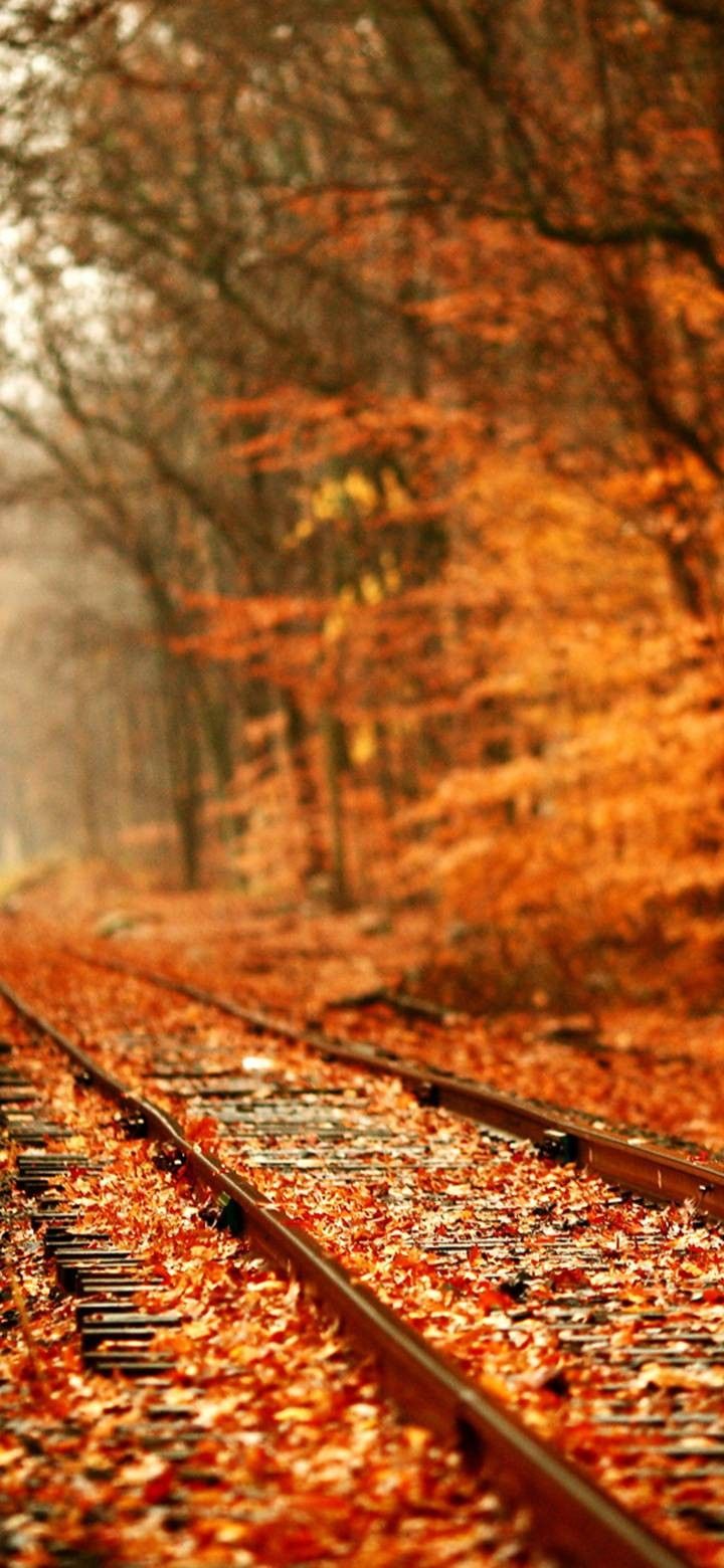 Autumn Railroad Wallpapers - Wallpaper Cave