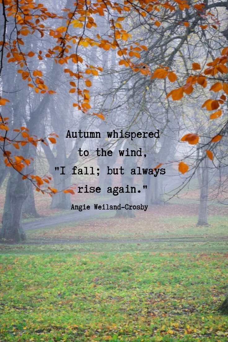 Autumn Quotes & Fall Quotes and Captions to Enchant and Deepen the Soul! [Updated for 2021]. Nature quotes inspirational, Autumn quotes inspirational, Autumn quotes