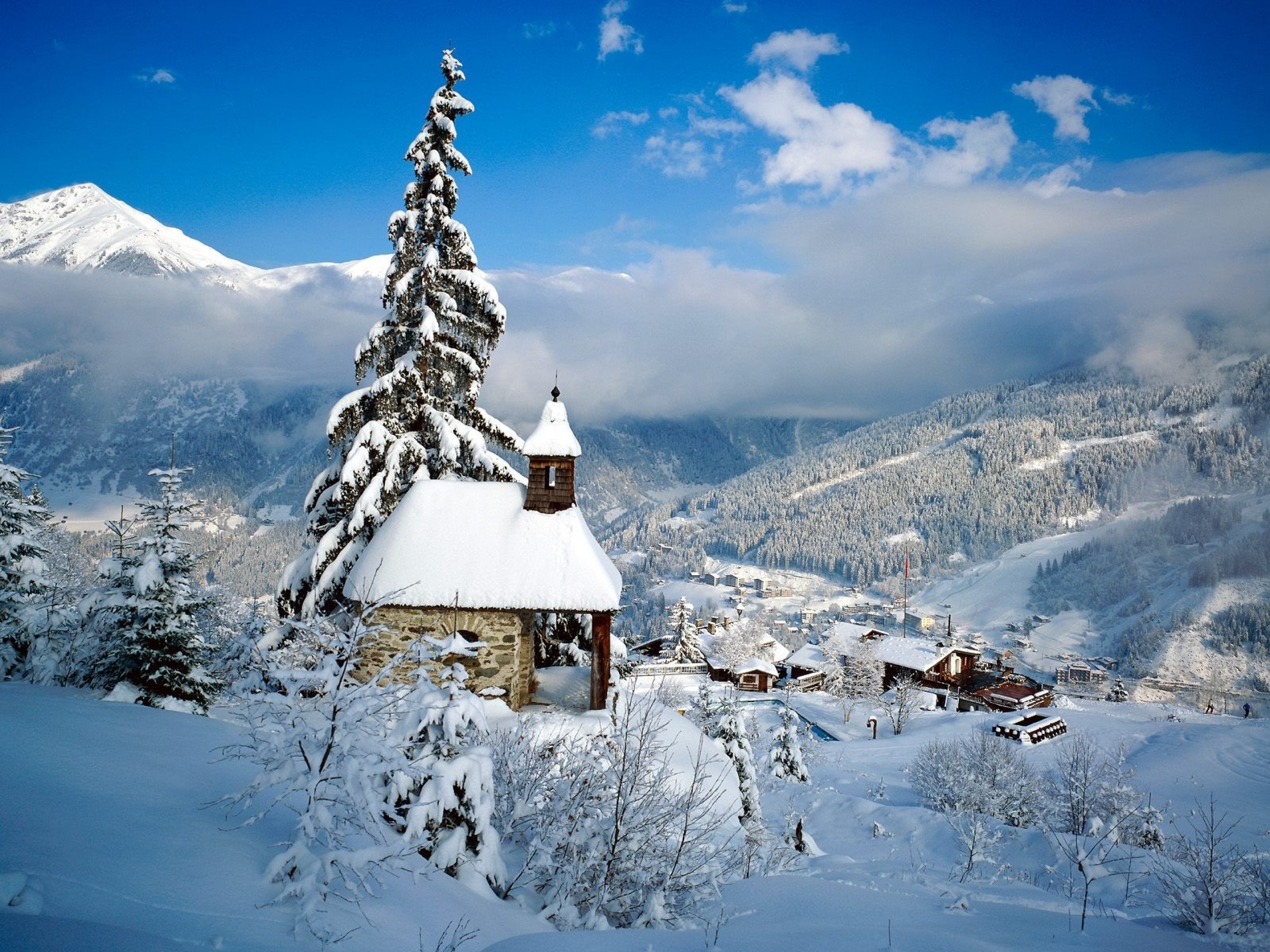 Winter Snow Trees & Village wallpaper. Winter Snow Trees & Village