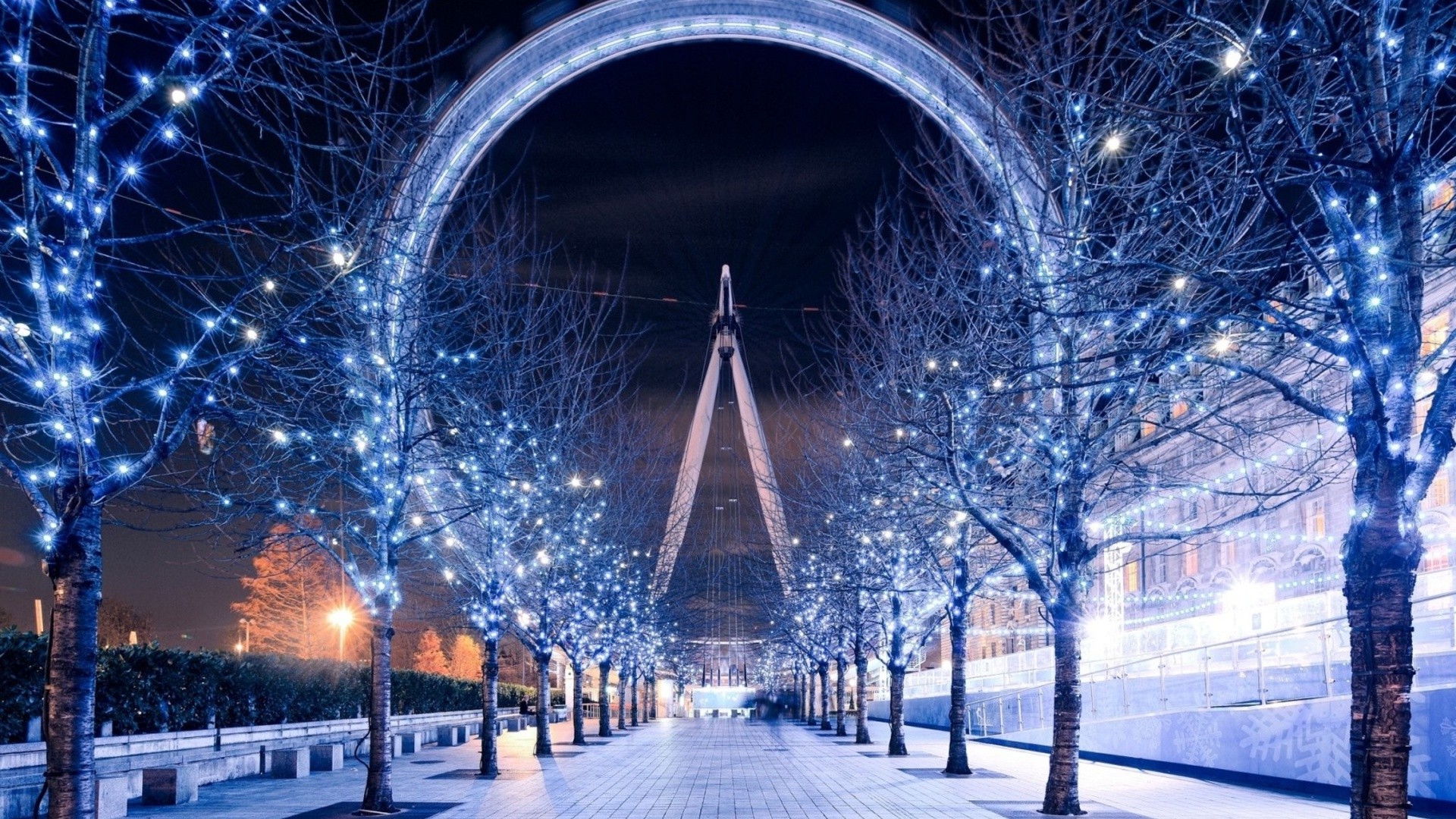 Wallpaper, trees, street light, city, cityscape, night, architecture, sky, snow, winter, branch, symmetry, skyscraper, evening, arch, path, christmas lights, metropolis, Freezing, London Eye, structure, electricity, tree, downtown, lighting, landmark