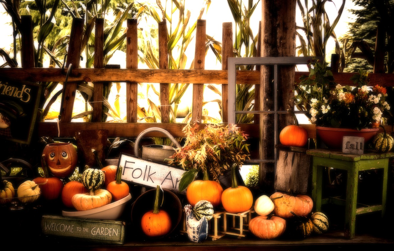 Wallpaper Halloween, Pumpkins, Fall, Autumn image for desktop, section праздники