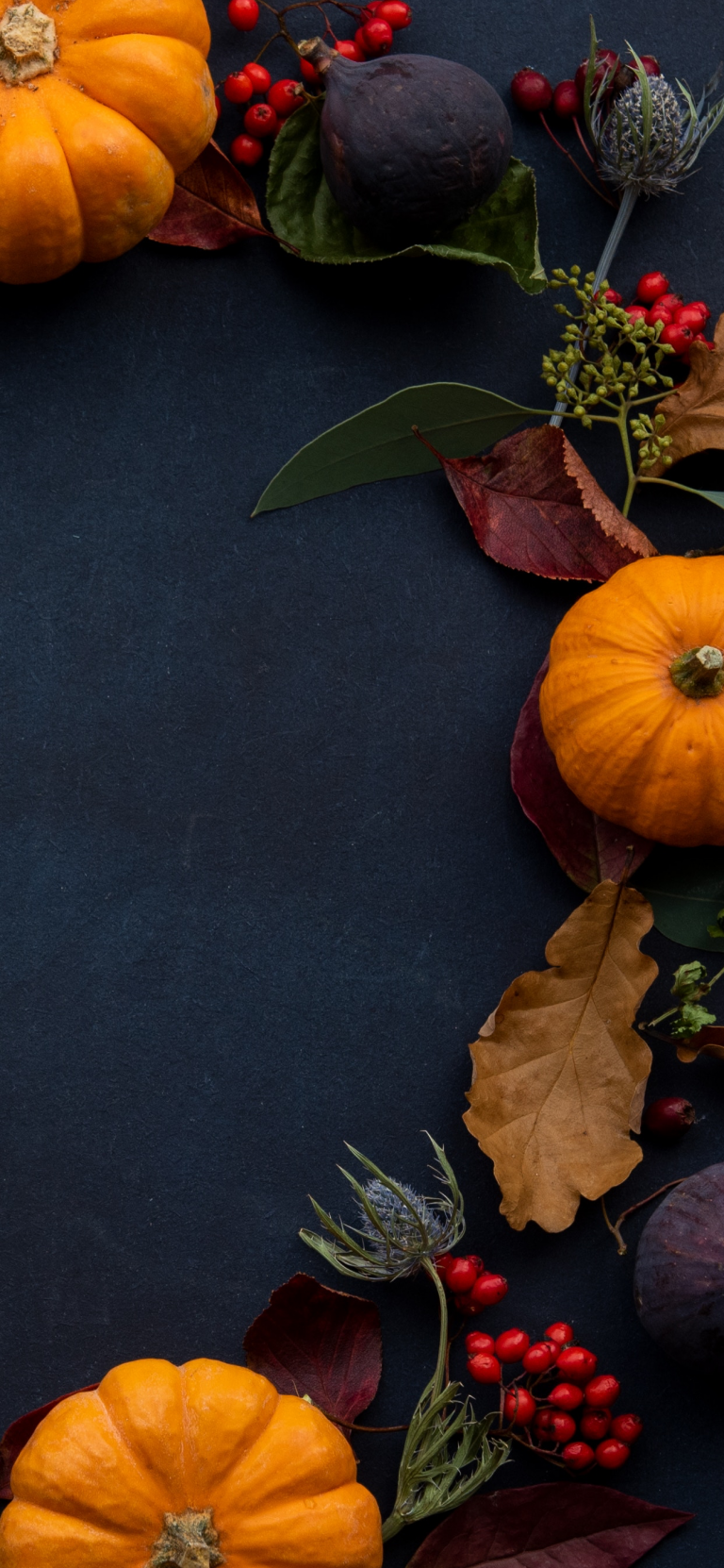 Pumpkin wallpaper for iPhone: download them now!. Pumpkin wallpaper, Thanksgiving iphone wallpaper, Fall wallpaper