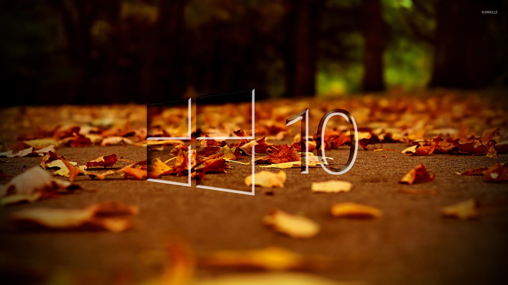 Windows 10 on autumn leaves [3] wallpaper wallpaper