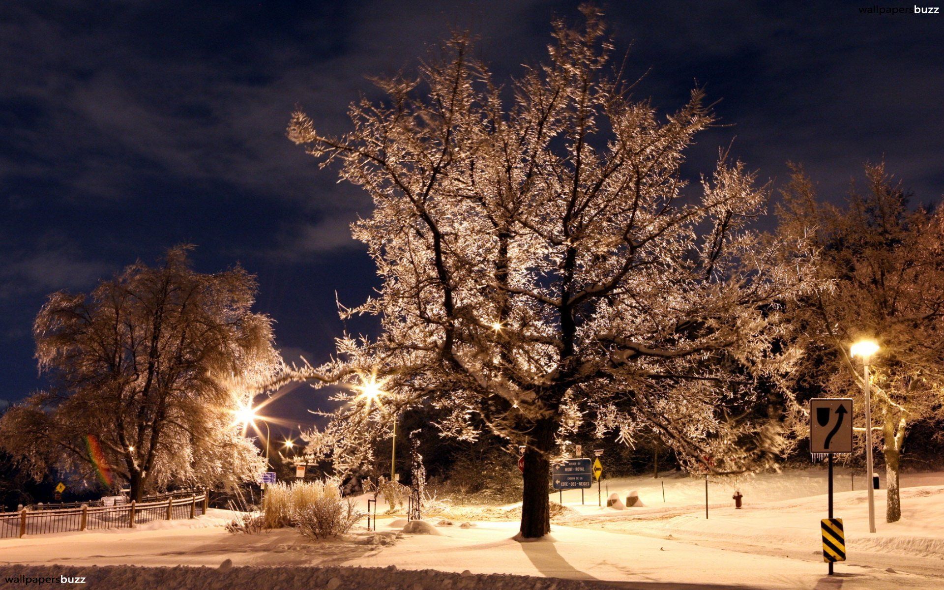 Night Winter HD Desktop Wallpaper. Widescreen wallpaper, Winter scenes, Winter nature