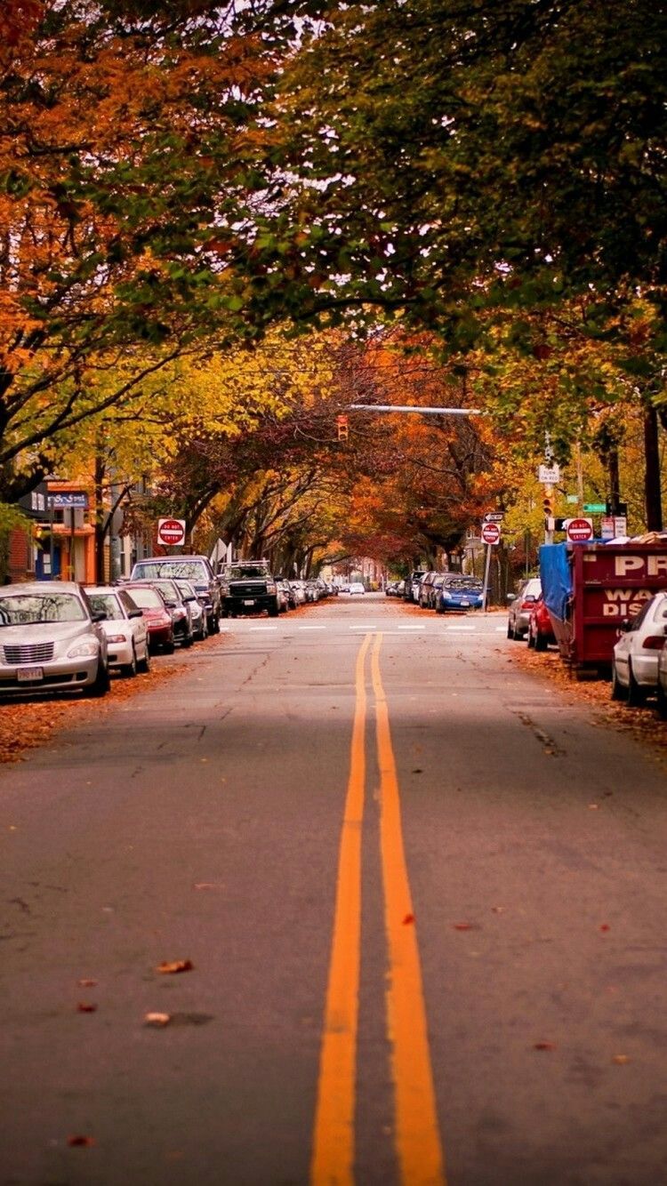 Autumn Street Wallpaper