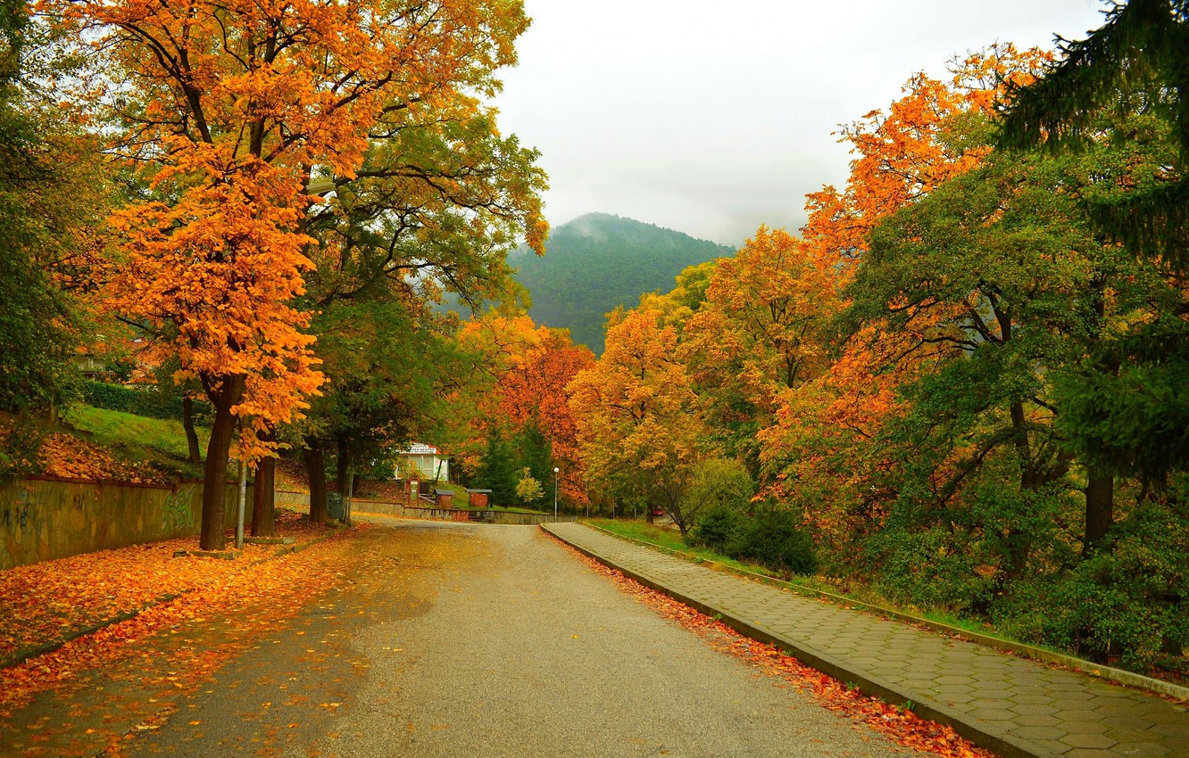 Wallpaper Road, Autumn, Trees, Mountain, Street, Fall, Foliage, Mountain, Autumn, Street, Colors, Leaves image for desktop, section природа