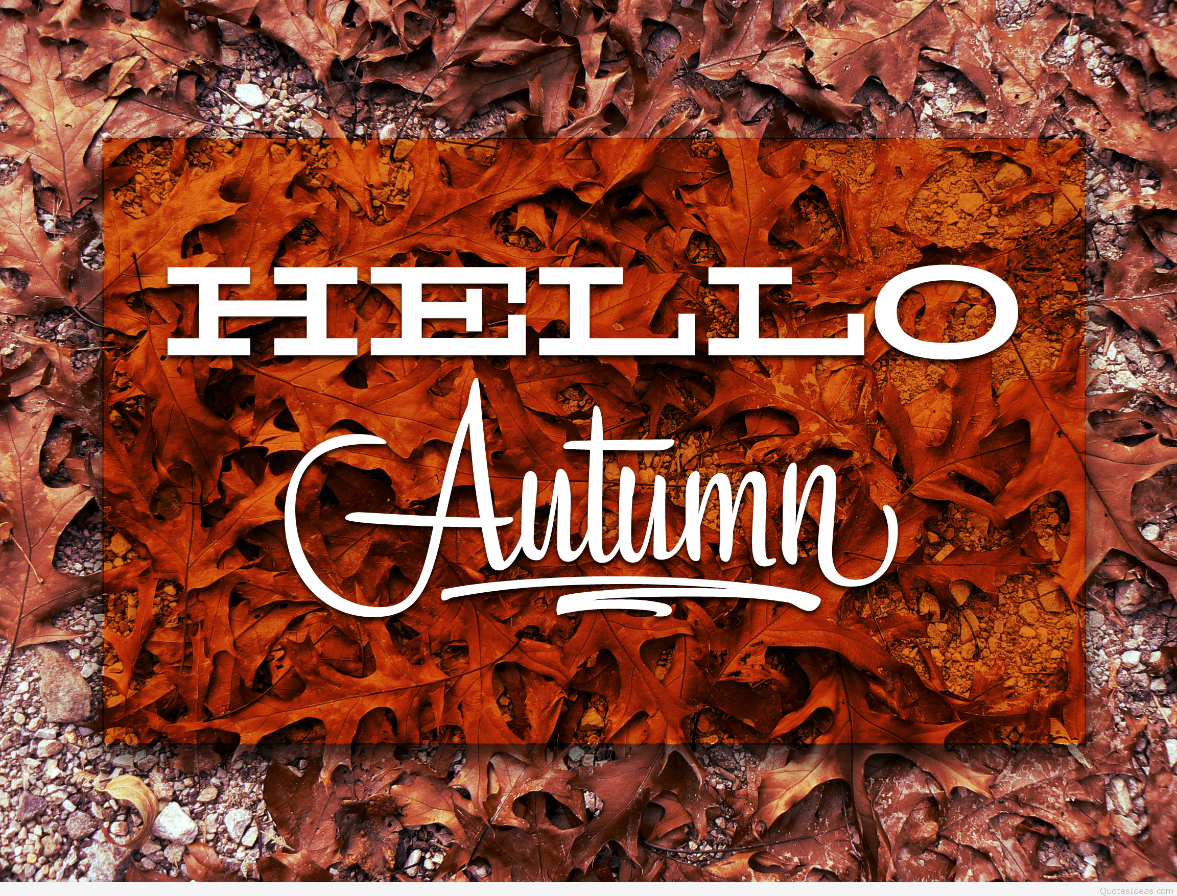 Hello Autumn Desktop Wallpaper, HD Hello Autumn Desktop Background on WallpaperBat