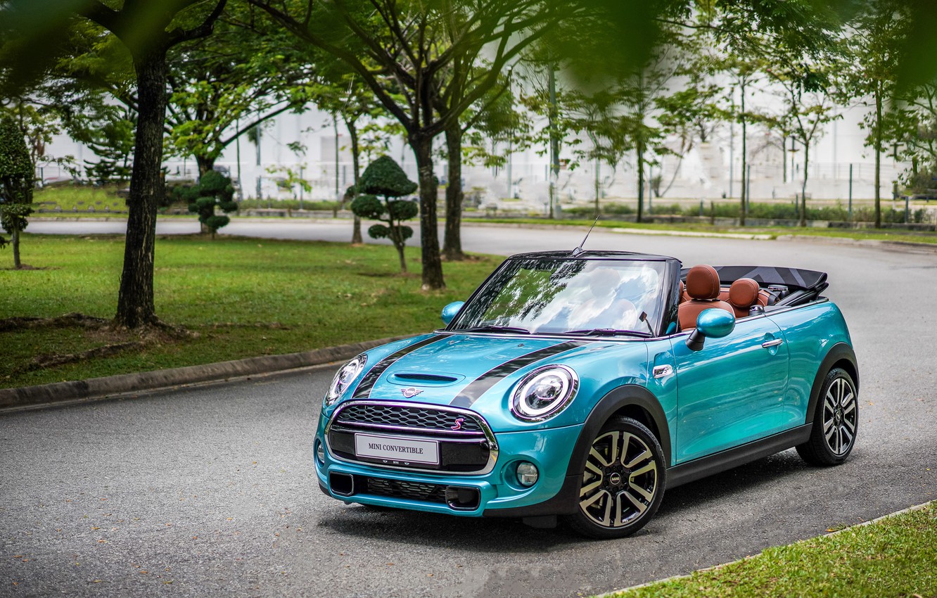 Wallpaper road, nature, Park, Mini, convertible, Cabrio, Cooper S image for desktop, section mini