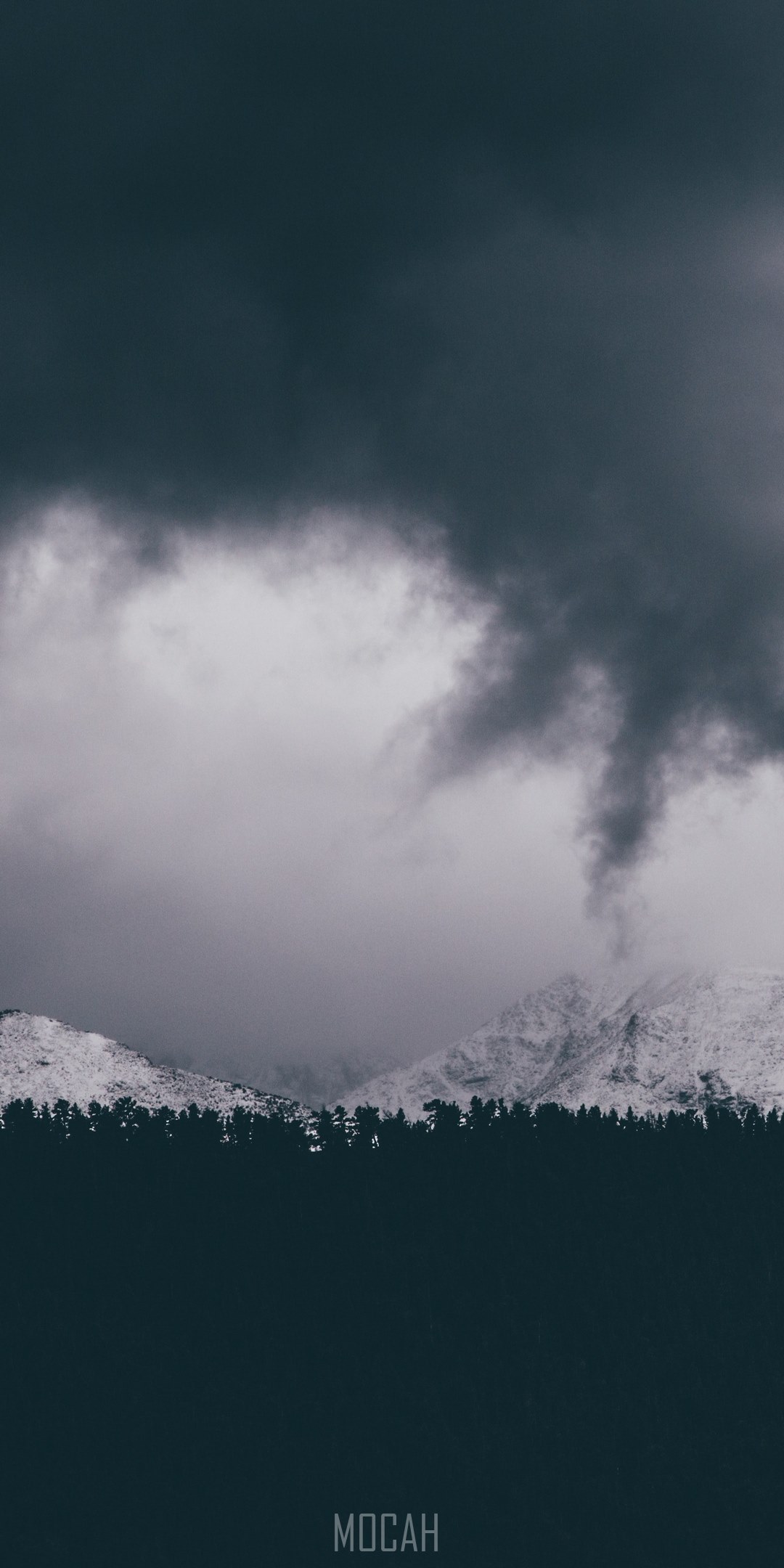 a bleak shot of white mountains over a dark treeline on a cloudy day, reaching fingers, Motorola Edge+ wallpaper full hd, 1080x2340. Mocah HD Wallpaper