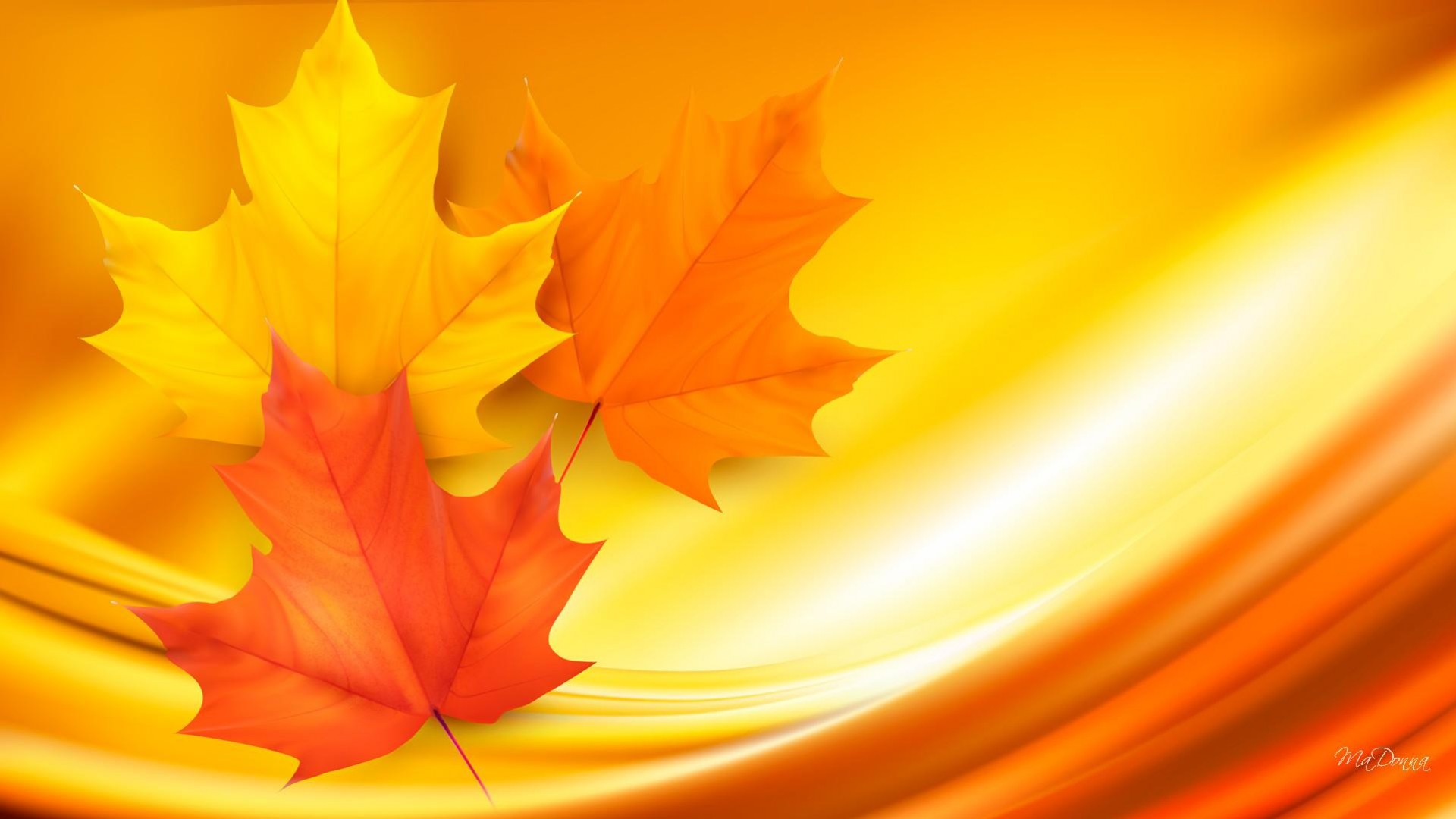 Autumn Maple Leaves HD Wallpaper