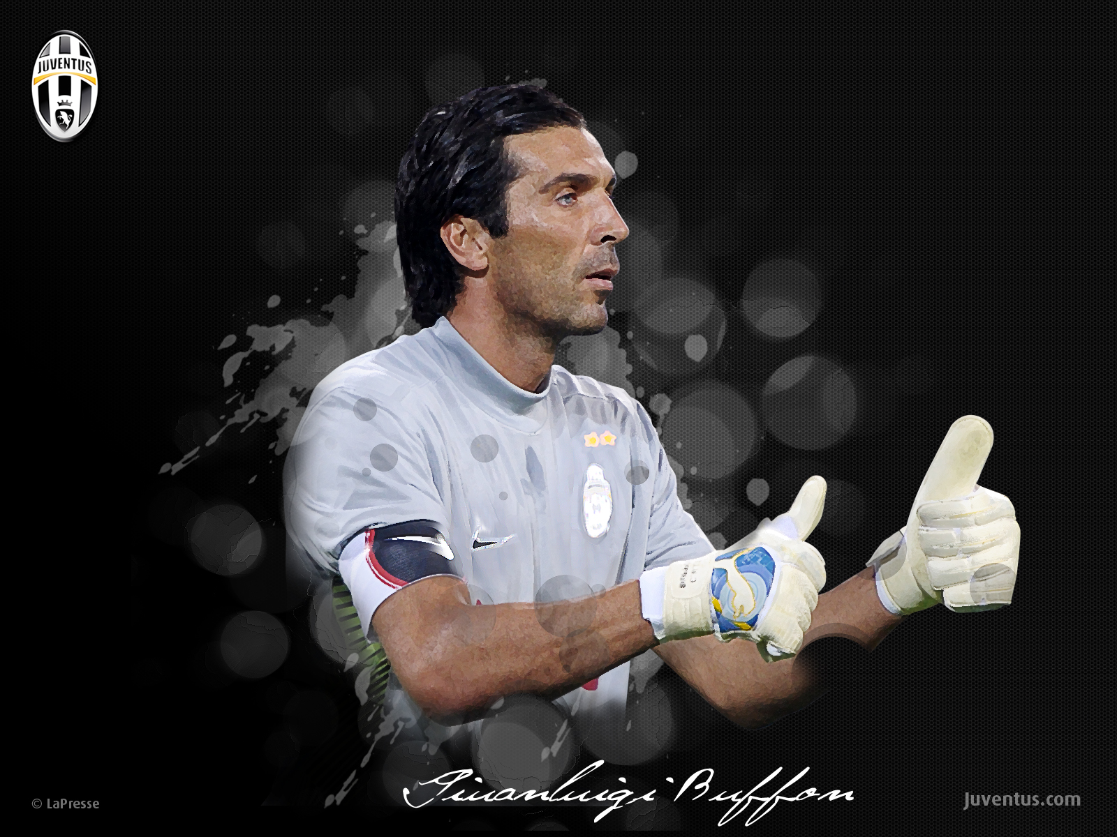 Buffon wallpaper Buffon Wallpaper