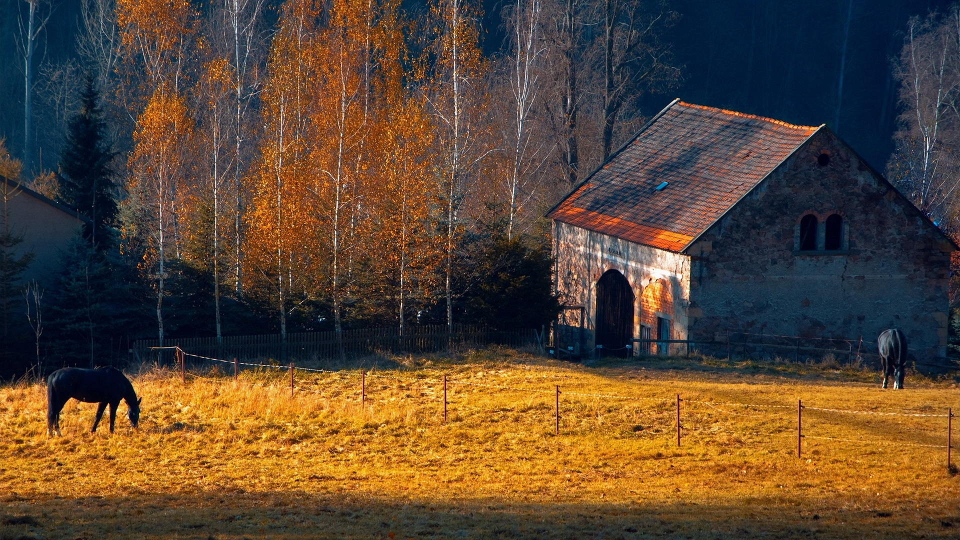Horses rustic farm barn landscapes buildings autumn fall trees wallpaperx1080