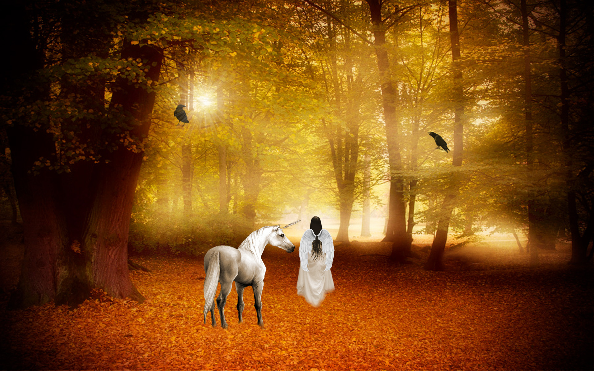 Wallpaper, 1920x1200 px, angel, animal, autumn, fairy, forest, horse, magical, unicorn 1920x1200
