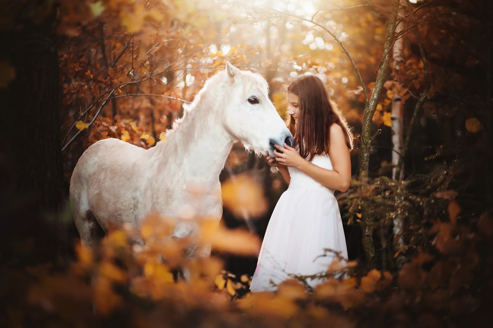 Mood, Fall, Horse, White Dress, Woman, Brunette, Girl, Model wallpaper