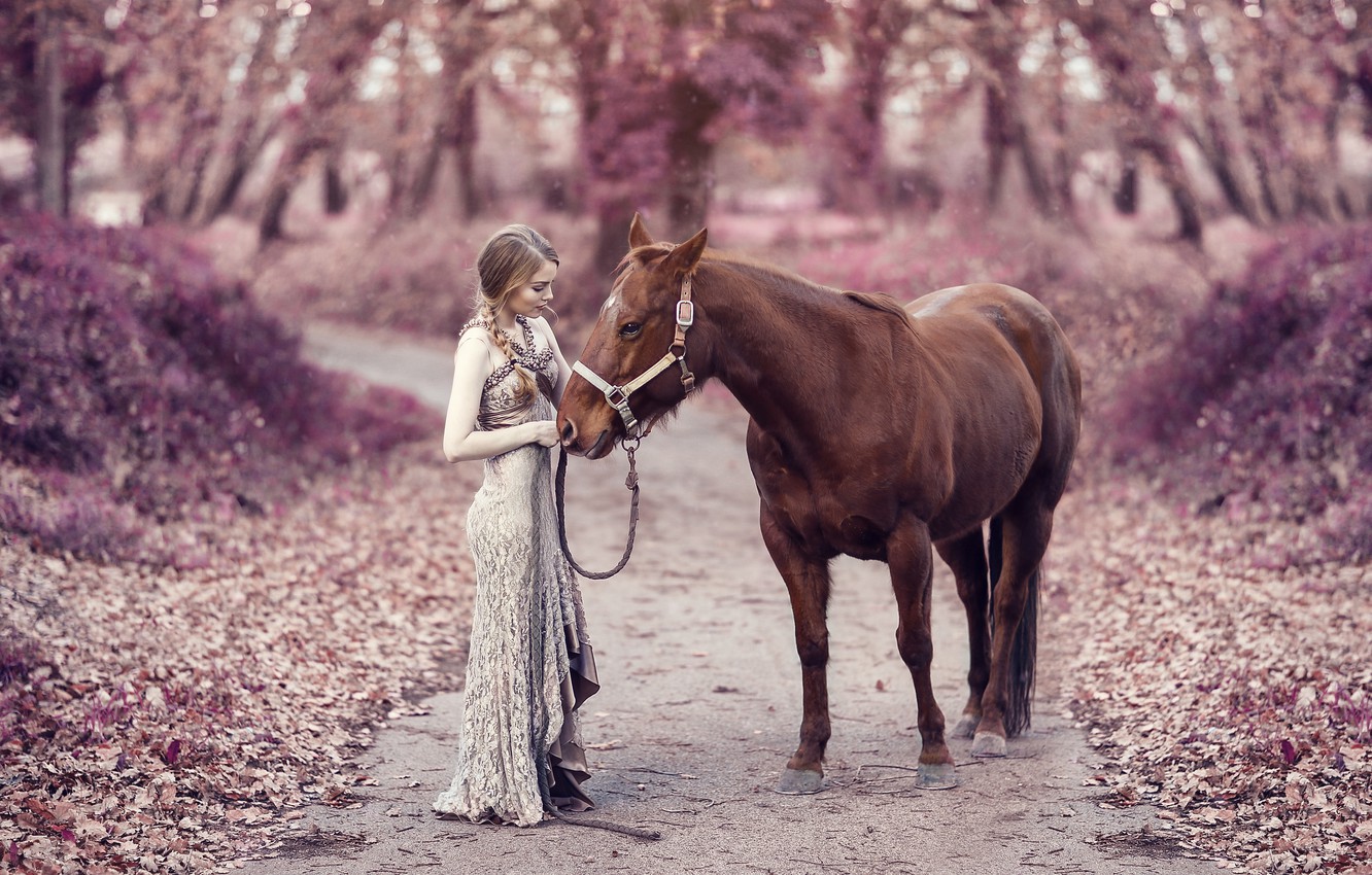Wallpaper road, autumn, girl, mood, horse, horse, dress image for desktop, section девушки
