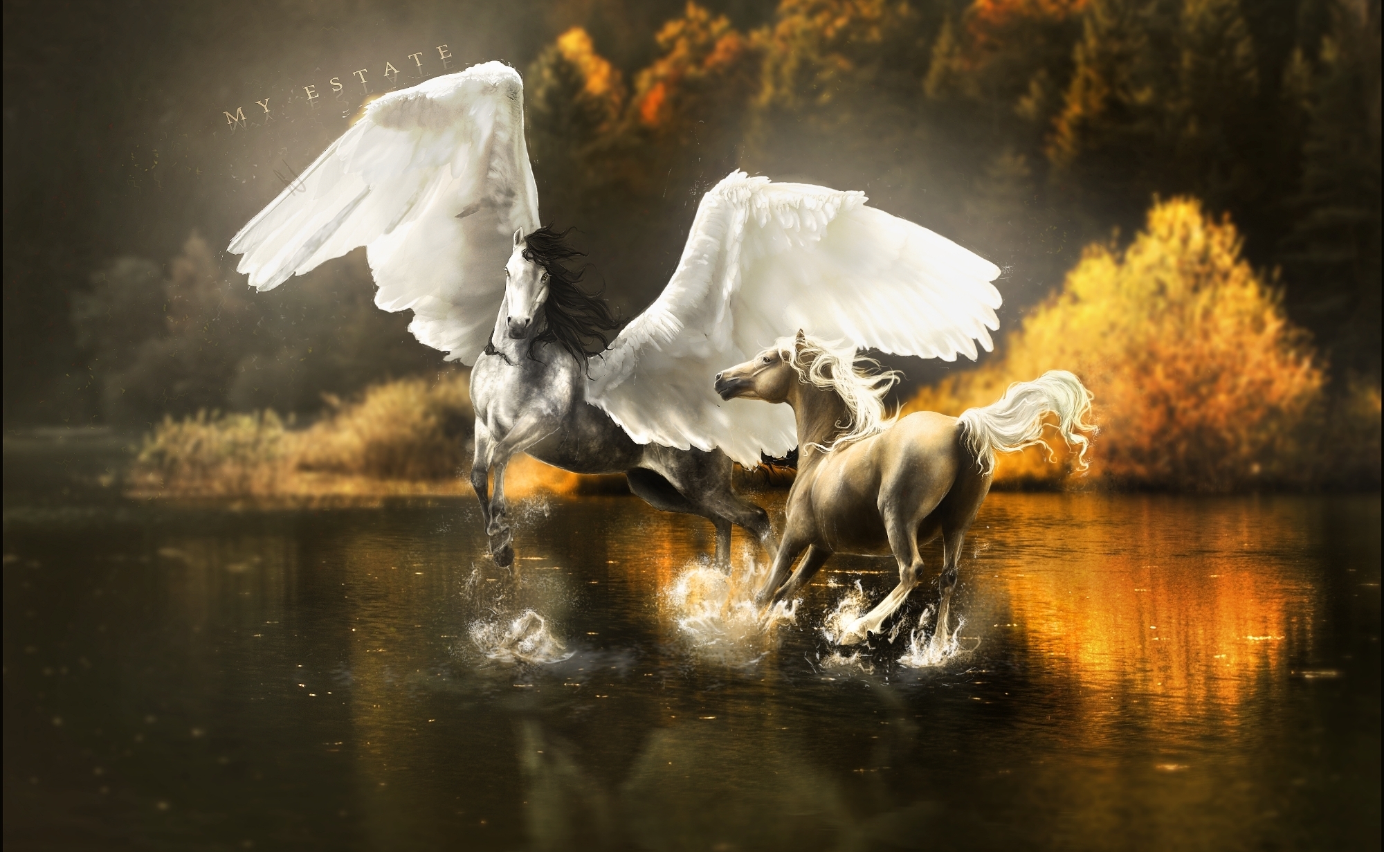 Magical animals Pegasus Horses Wings horse lake autumn reflection wallpaperx1231