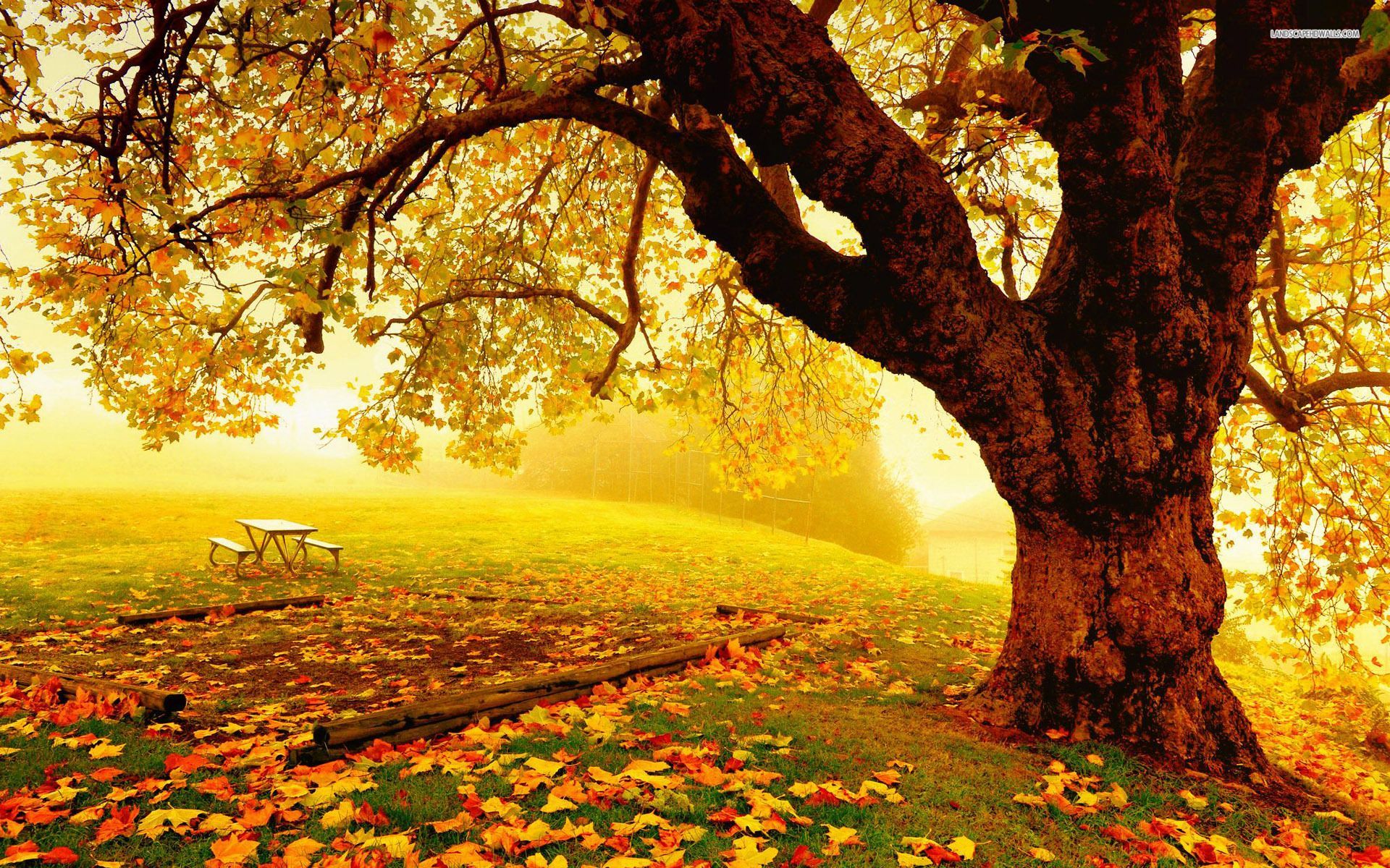 Relaxing Autumn Day Wallpaper Free Relaxing Autumn Day Background