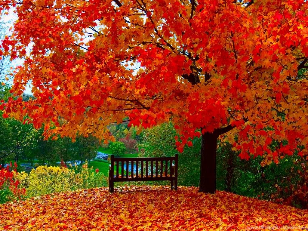 Autumn Wallpaper Free Desktop Background