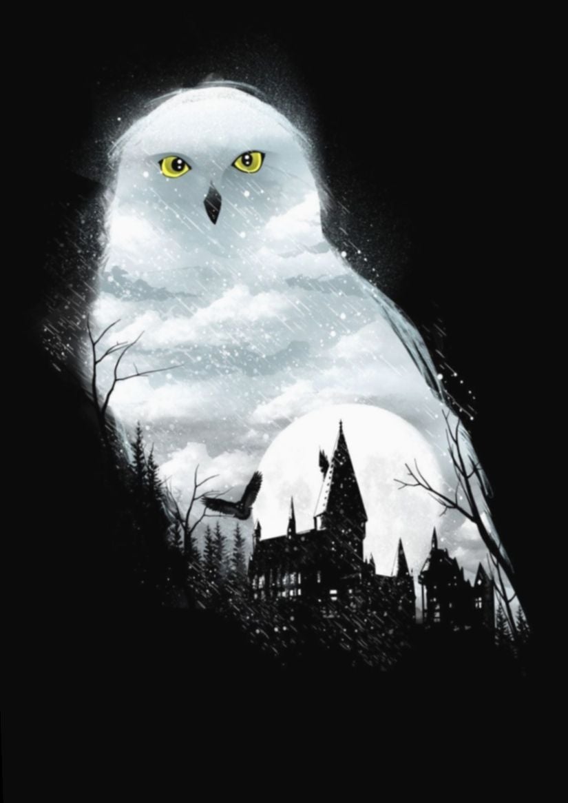 Harry Potter Hedwig Wallpaper Free Harry Potter Hedwig Background