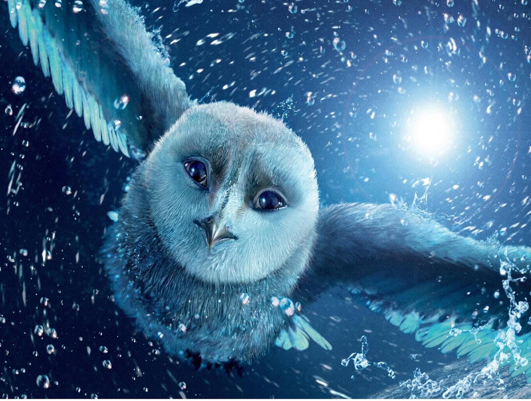 Hedwig Wallpaper Free Hedwig Background