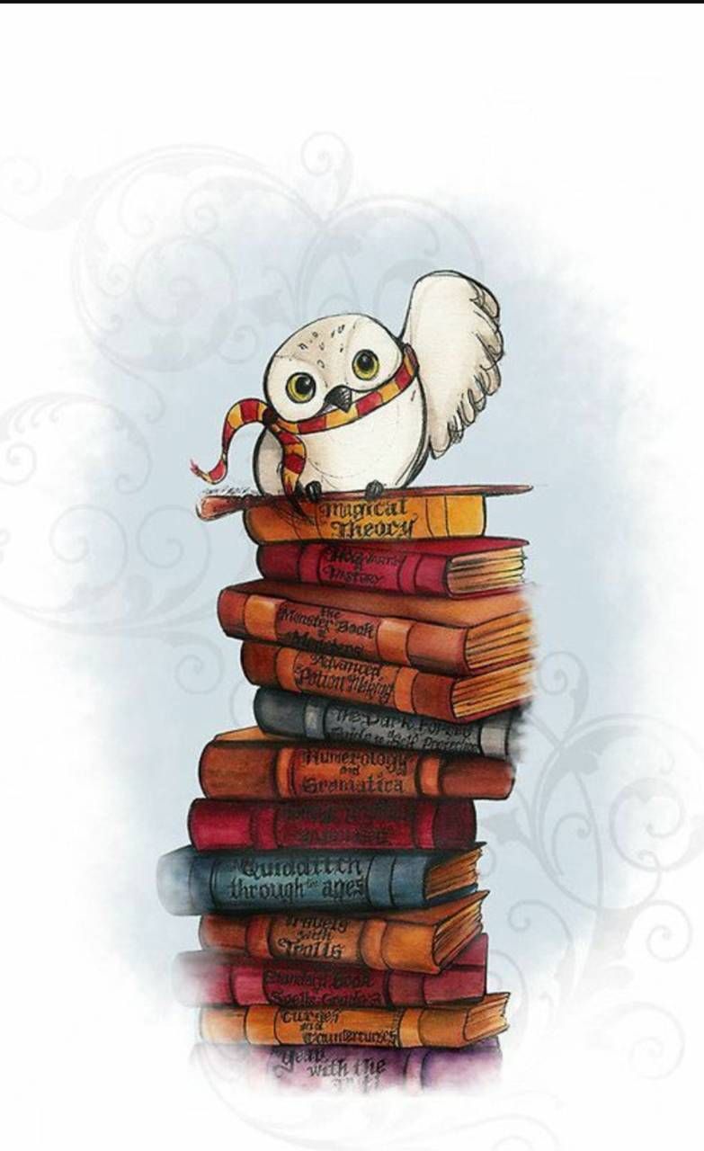 Harry Potter's Hedwig Wallpaper. Harry potter owl, Harry potter artwork, Cute harry potter