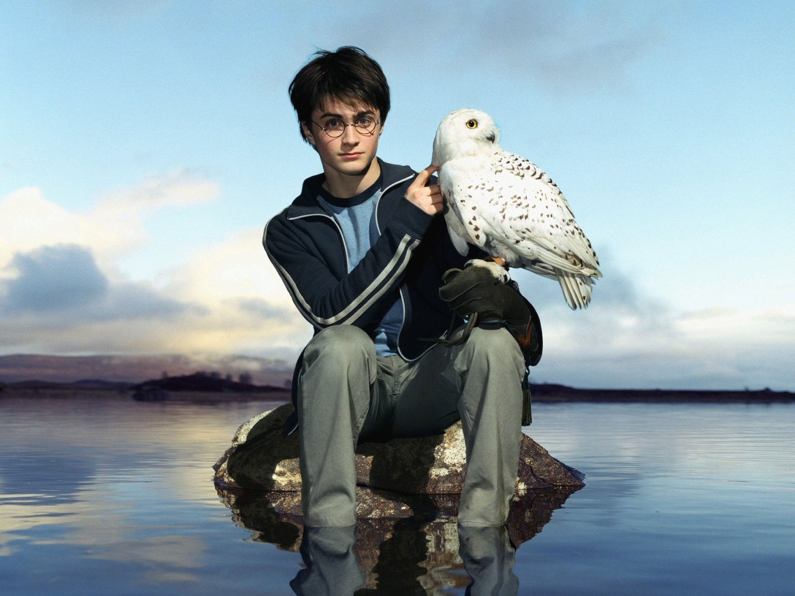 Harry Potter Pet Owl Name