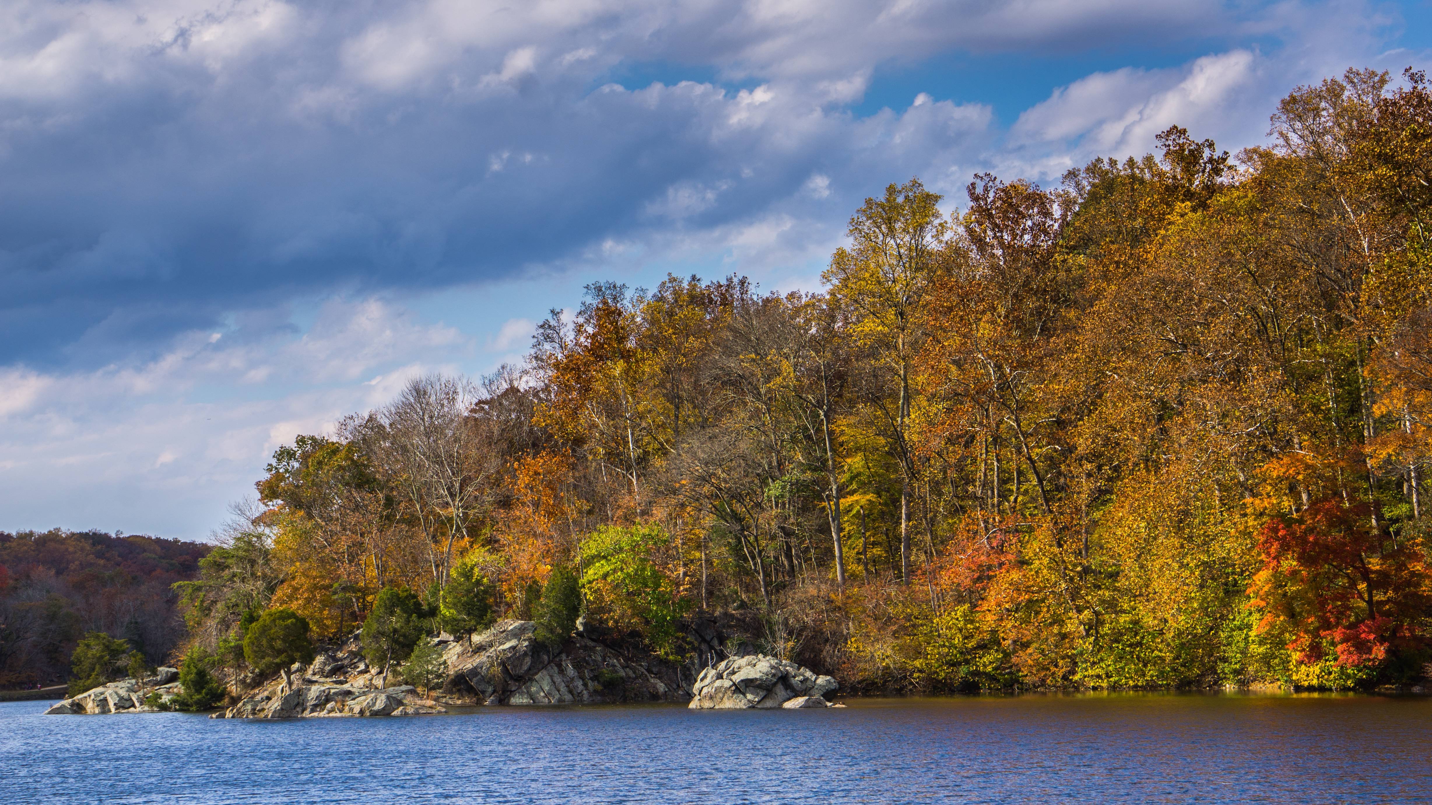 Autumn Trees Wallpaper