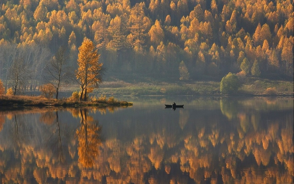 Wallpaper, sunlight, trees, landscape, forest, fall, boat, sunset, lake, water, nature, reflection, sunrise, calm, yellow, evening, morning, mist, wilderness, dusk, wetland, cloud, tree, autumn, leaf, mountain, dawn, season, prairie, marsh, loch