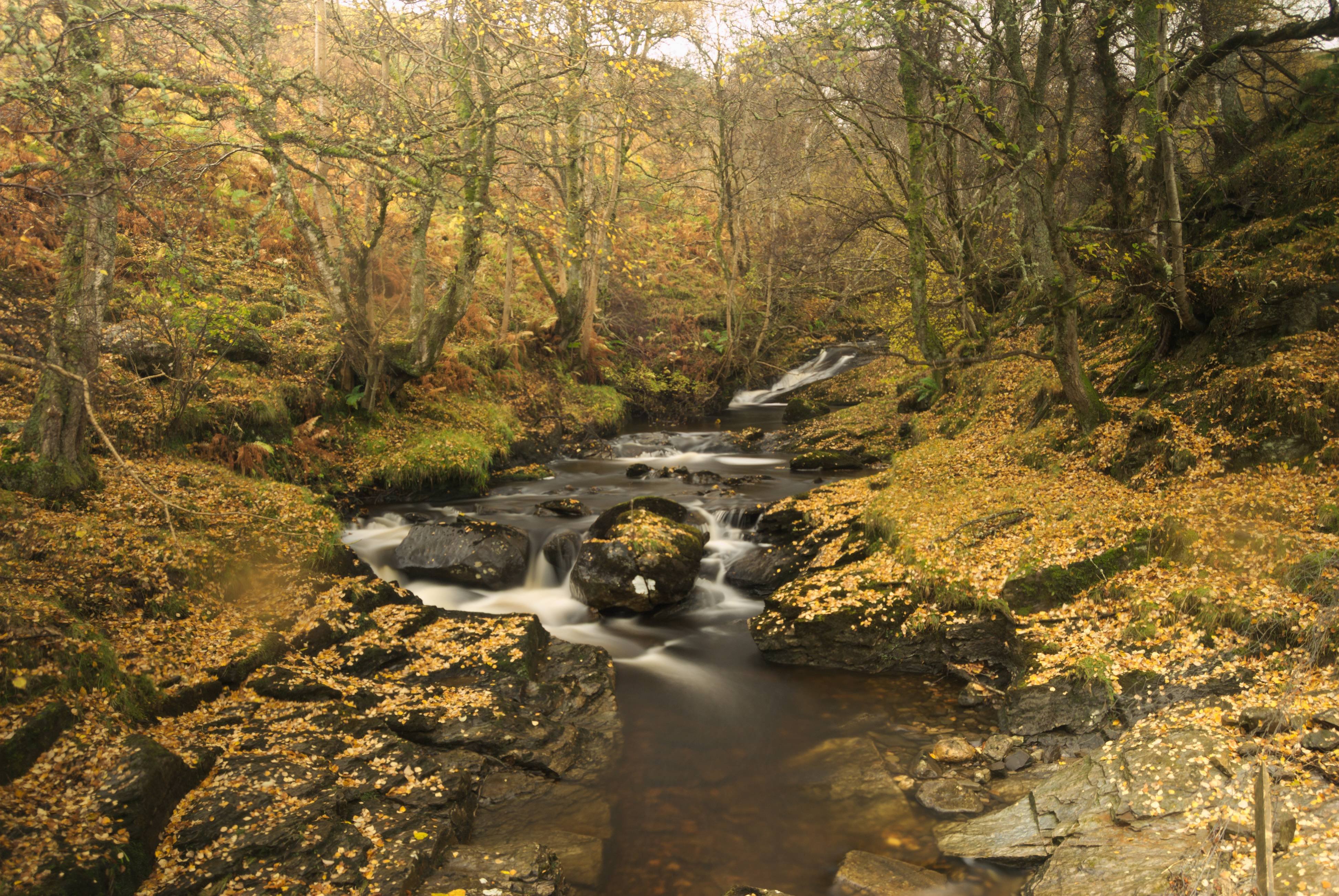 Fin Glen Burn Near Loch Tay 4K wallpaper