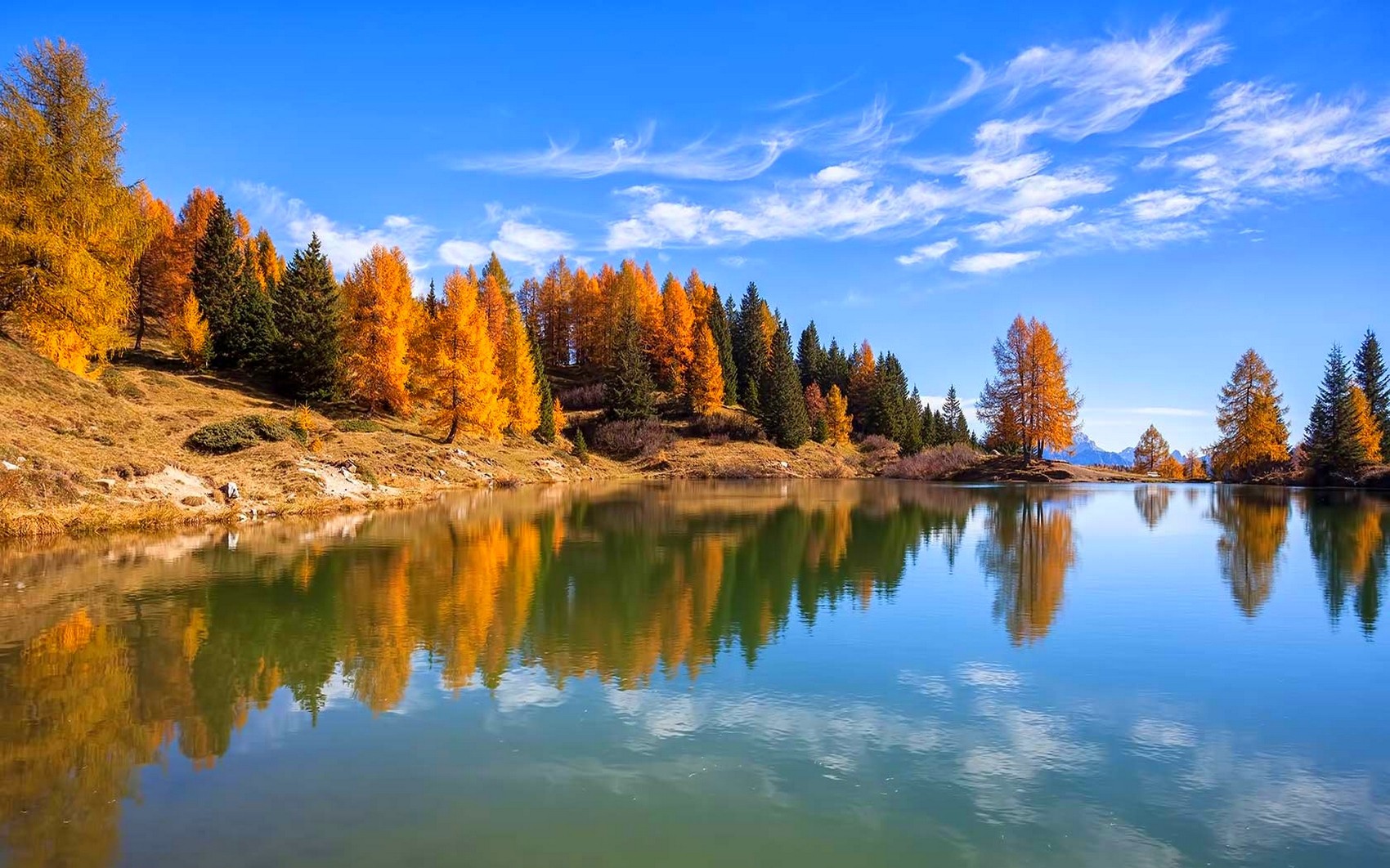 Wallpaper, trees, landscape, forest, fall, Italy, lake, nature, reflection, calm, blue, morning, river, national park, wilderness, gold, tree, autumn, leaf, season, reservoir, tarn, loch, body of water, mountain range 1700x1062