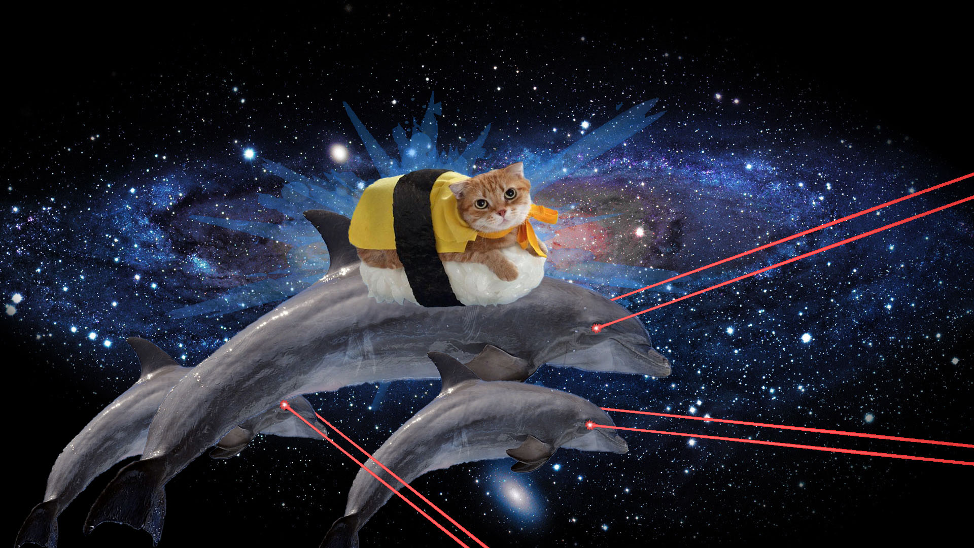 sushi cat wallpaper, space, outer space, illustration, animation