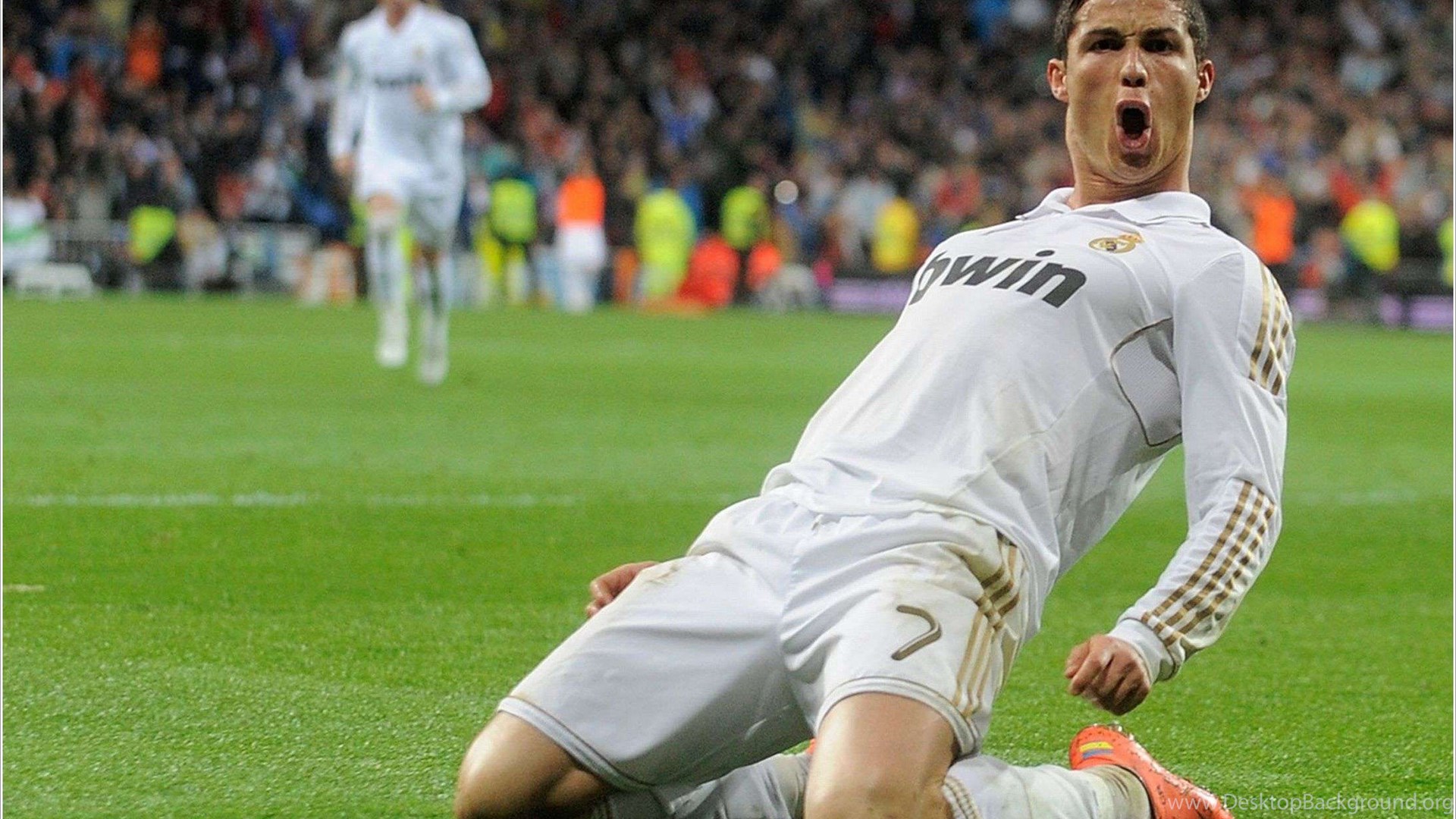 Cristiano Ronaldo Celebration Wallpaper HD Wallpaper Galeries Desktop Background