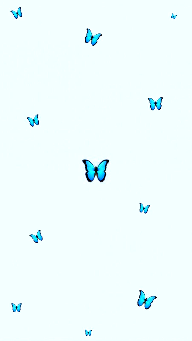 aesthetic #butterfly #wallpaper #tumblr #babyblue #blue #minimalistic. Boneka hewan, Hewan