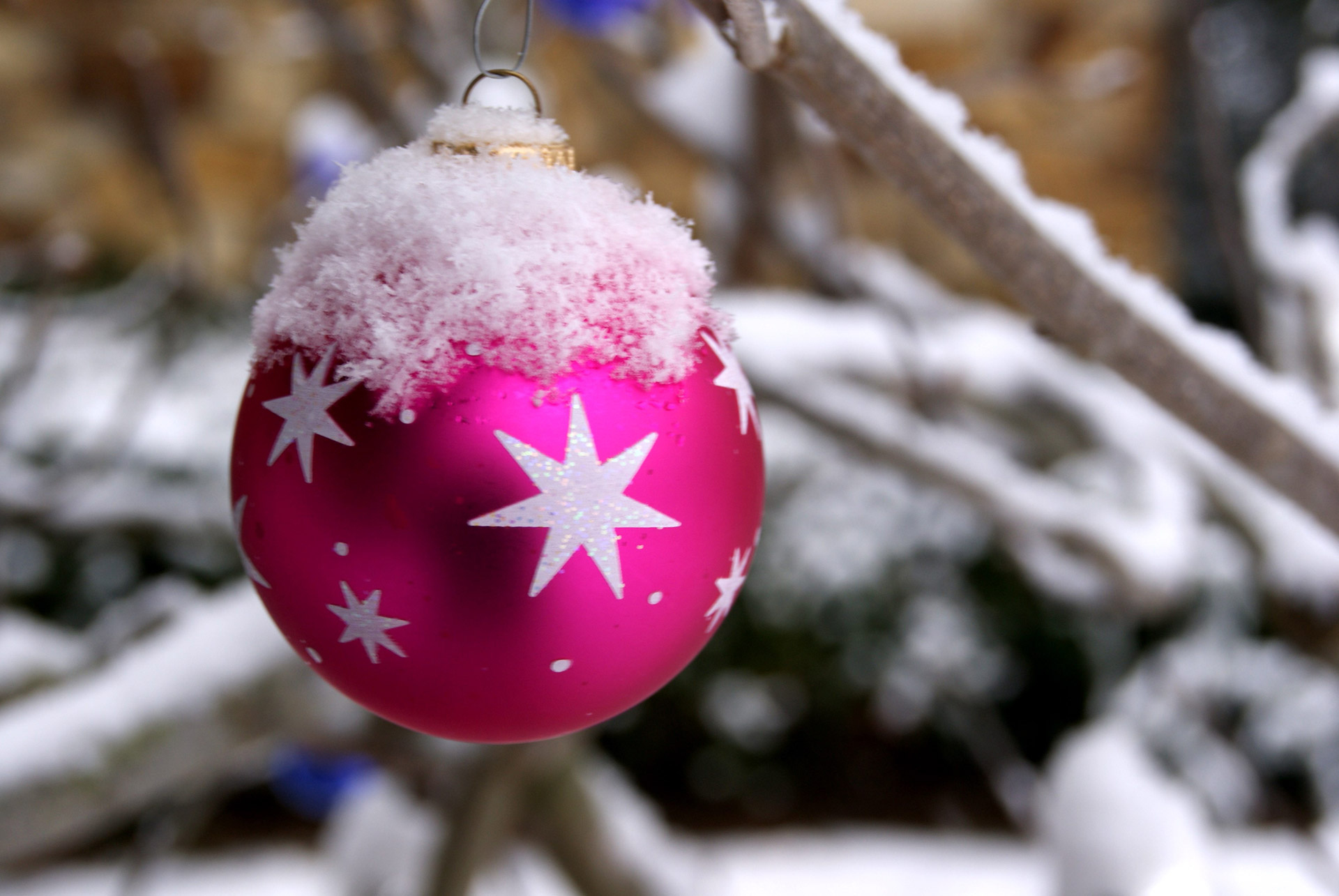 Pink Christmas Free Domain Picture