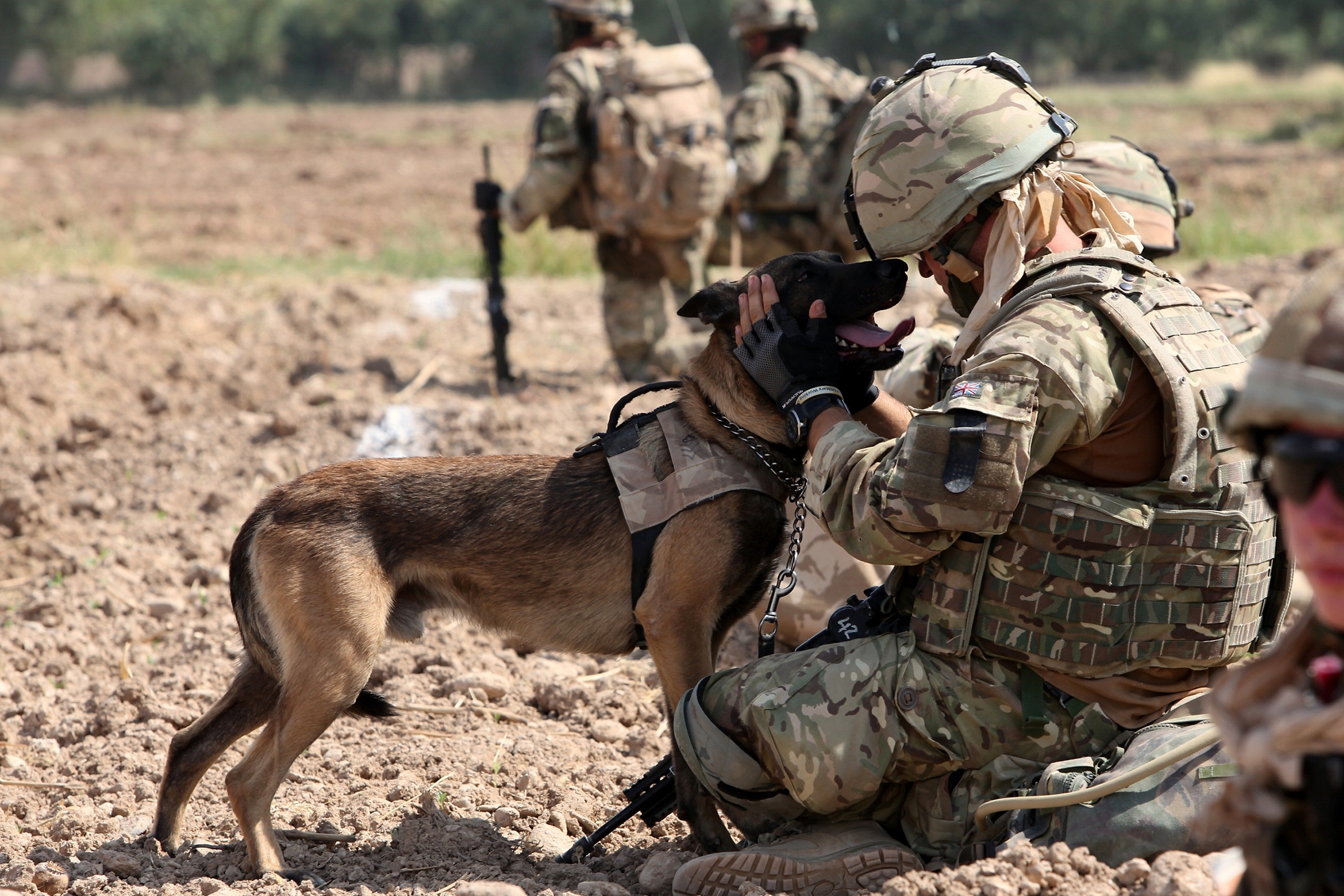 soldiers military dogs 2700x1800 wallpaper High Quality Wallpaper, High Definition Wallpaper