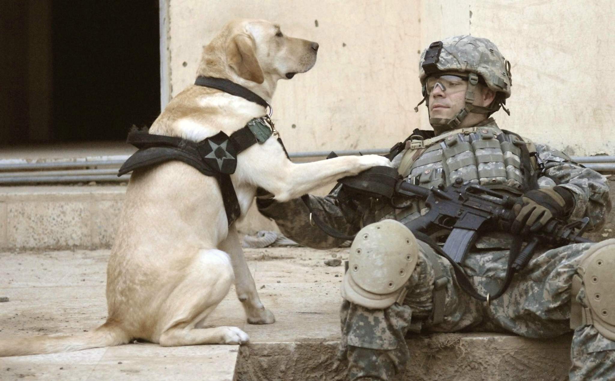 A Soldier and his Dog HD Wallpaper