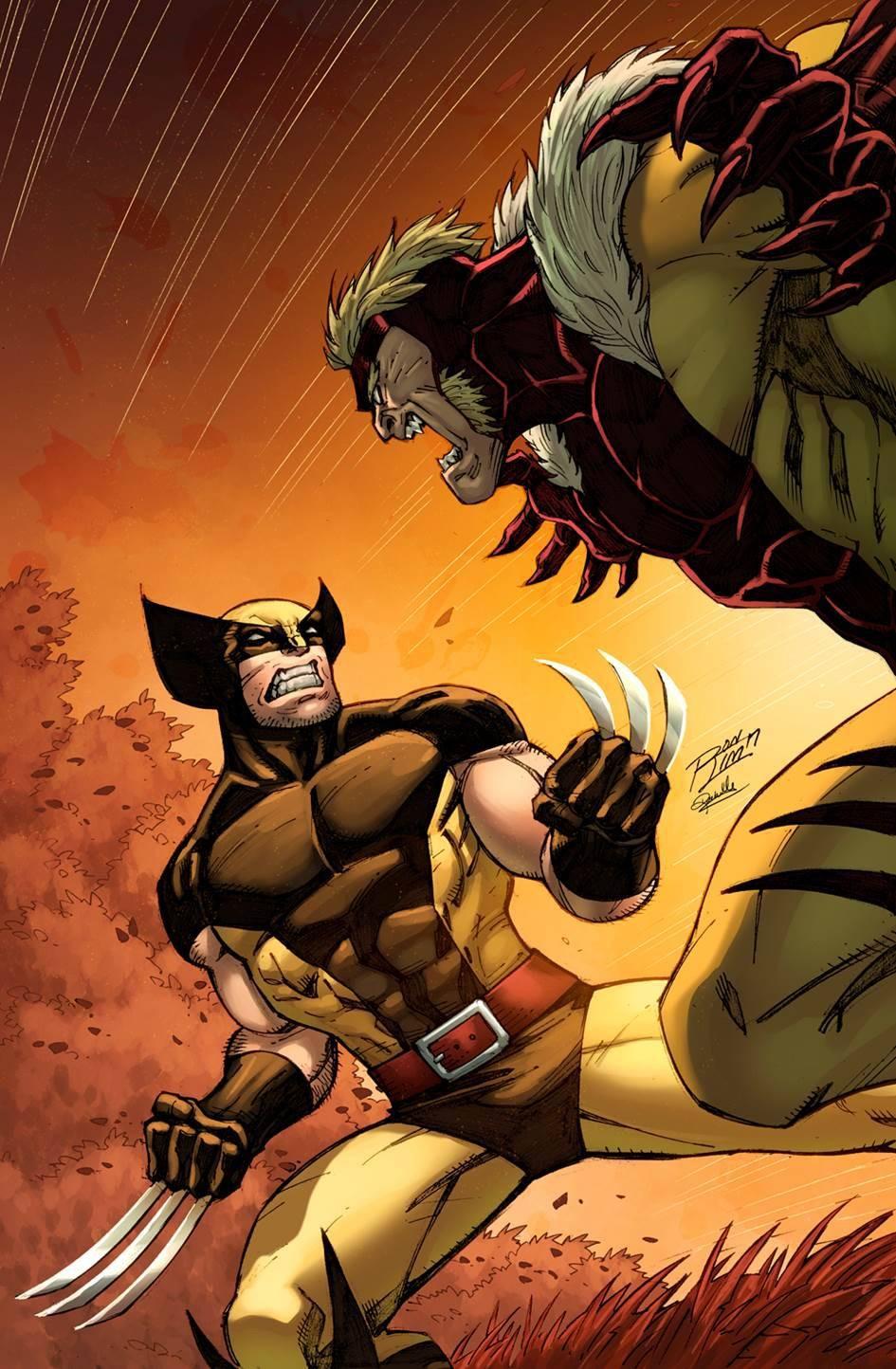 Just a badass Wolverine vs Sabertooth pic(not mine): Wolverine