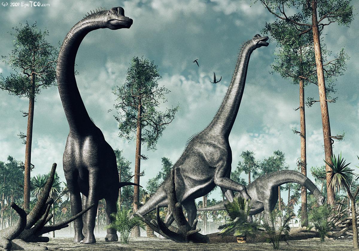 Brachiosaurus. Брахиозавр динозавр. Зауроподы Брахиозавр. Травоядный Брахиозавр. Брахиозавр питается.