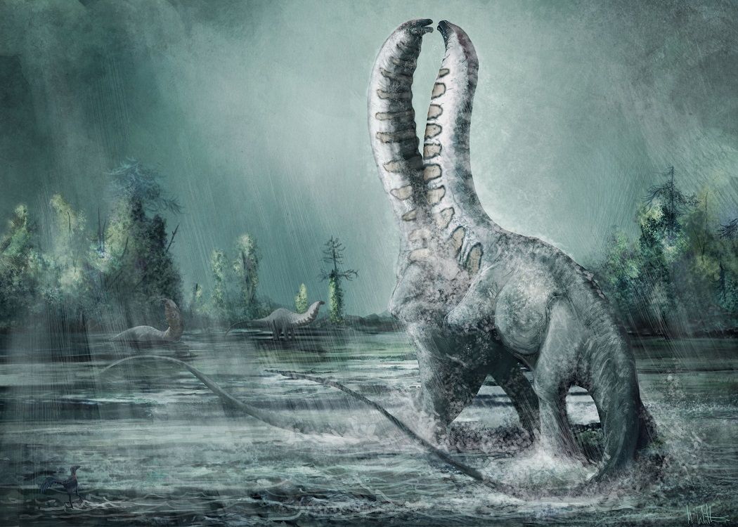 Brontosaurus excelsus in. BRONTOSMASH , £15.00. Dinosaur picture, Prehistoric animals, Paleo art