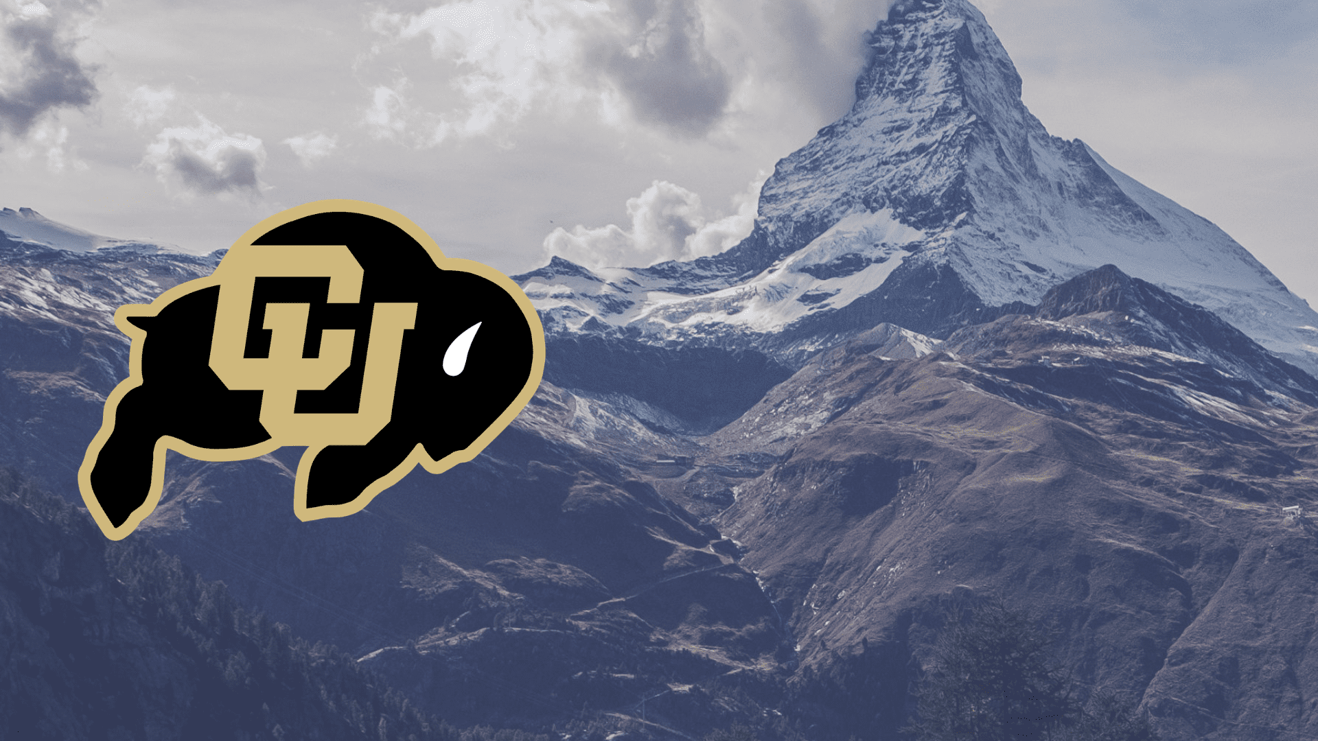 Colorado Buffaloes Wallpapers - Wallpaper Cave