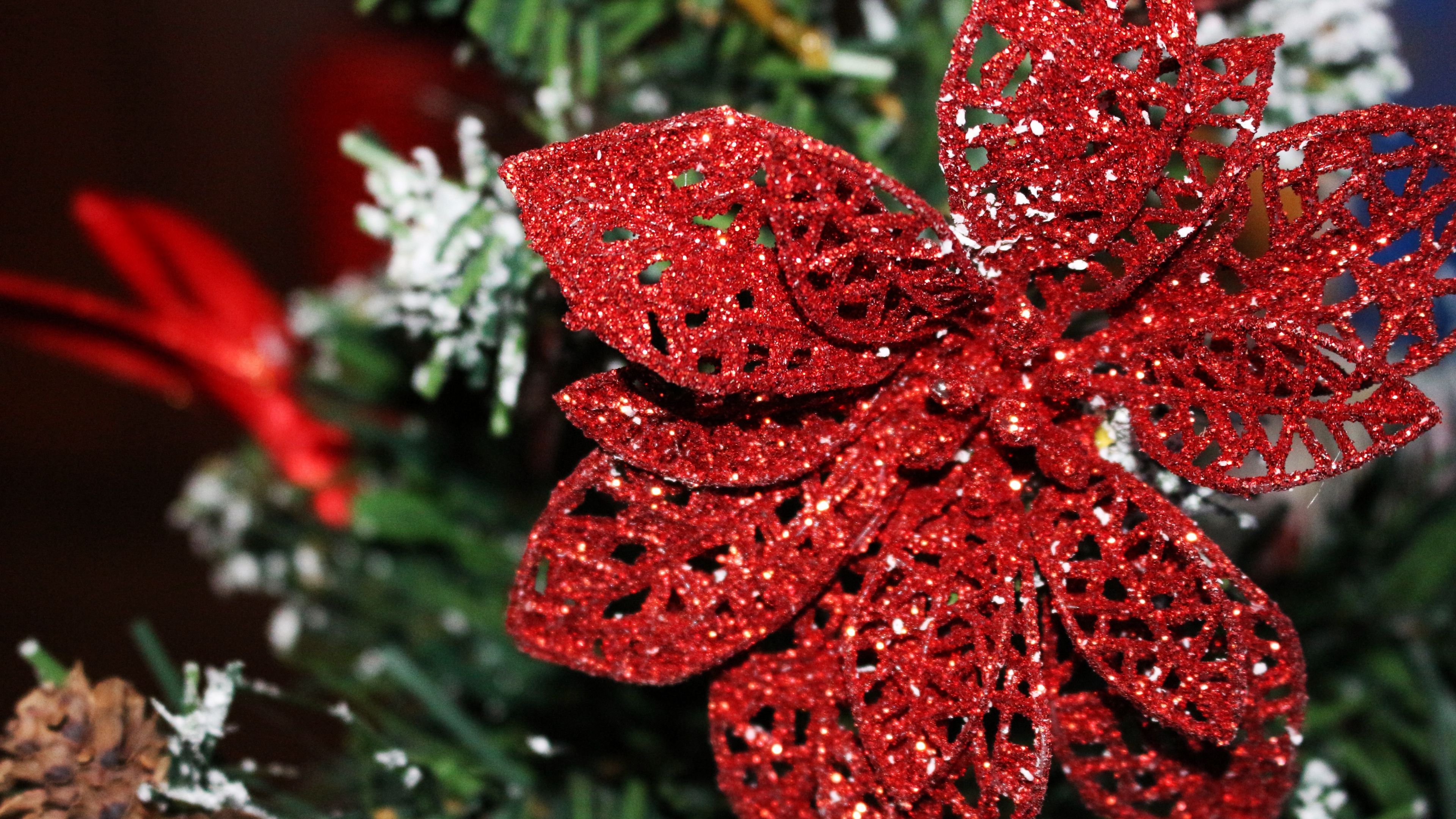 ornament, christmas ornaments, poinsettia, decoration 4k Poinsettia, ornament, christmas ornaments. Christmas ornaments, Thanksgiving flowers, Poinsettia decor