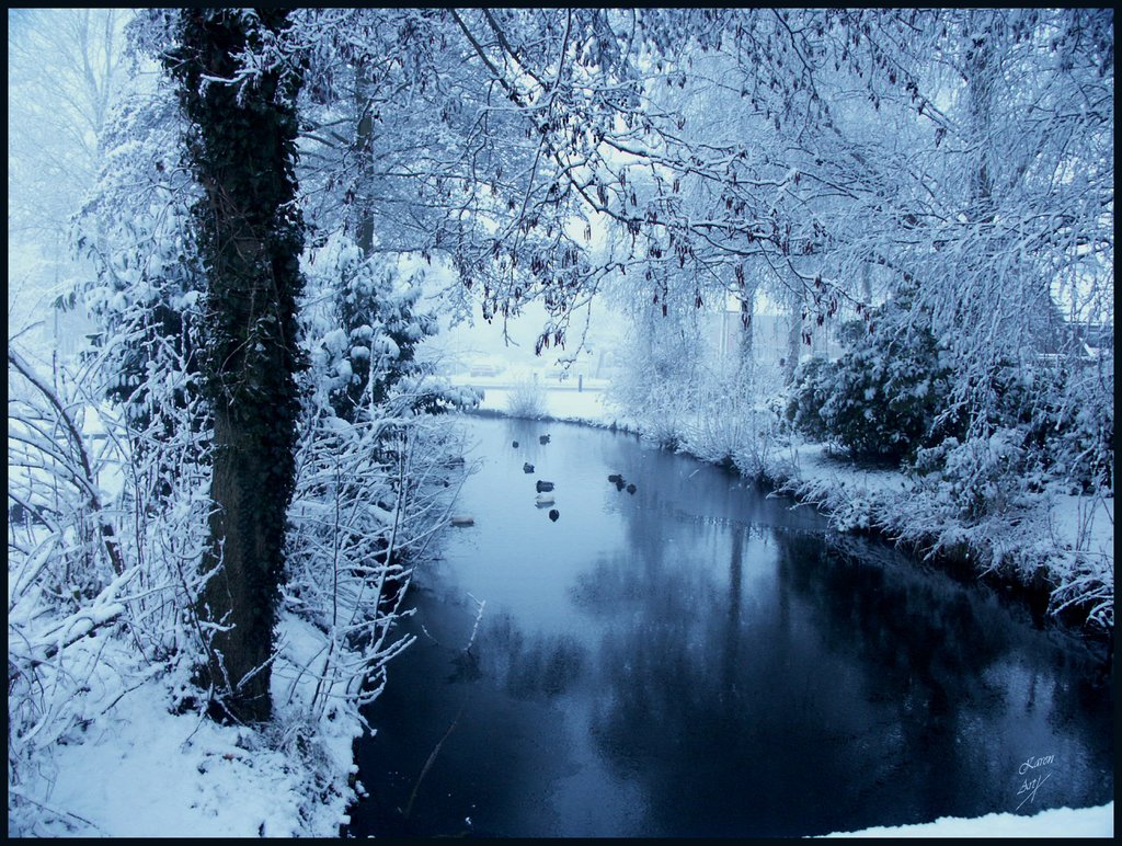 Desktop Wallpaper blue snow Winter Nature Seasons