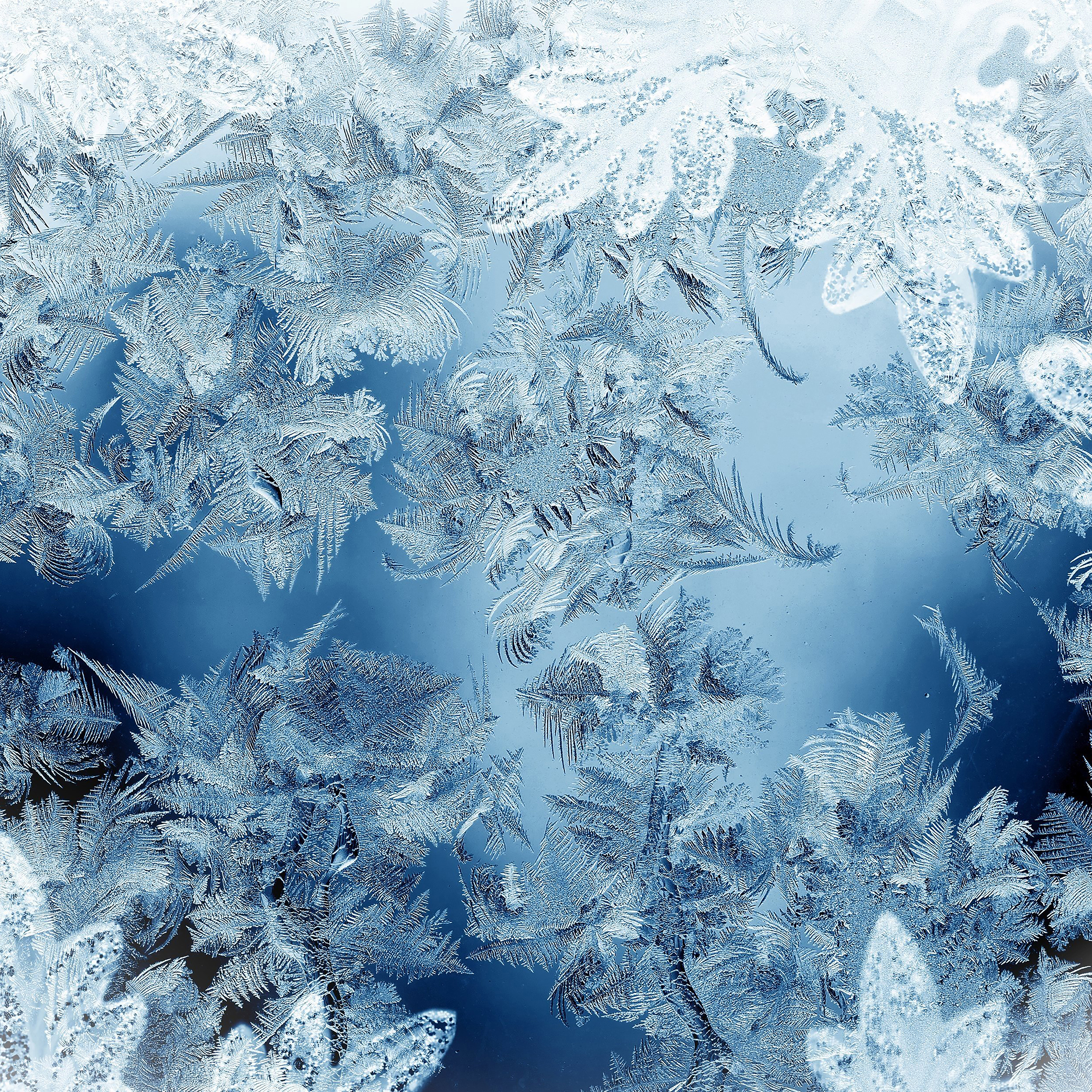 Ice Pattern Blue Snow Nauture Christmas