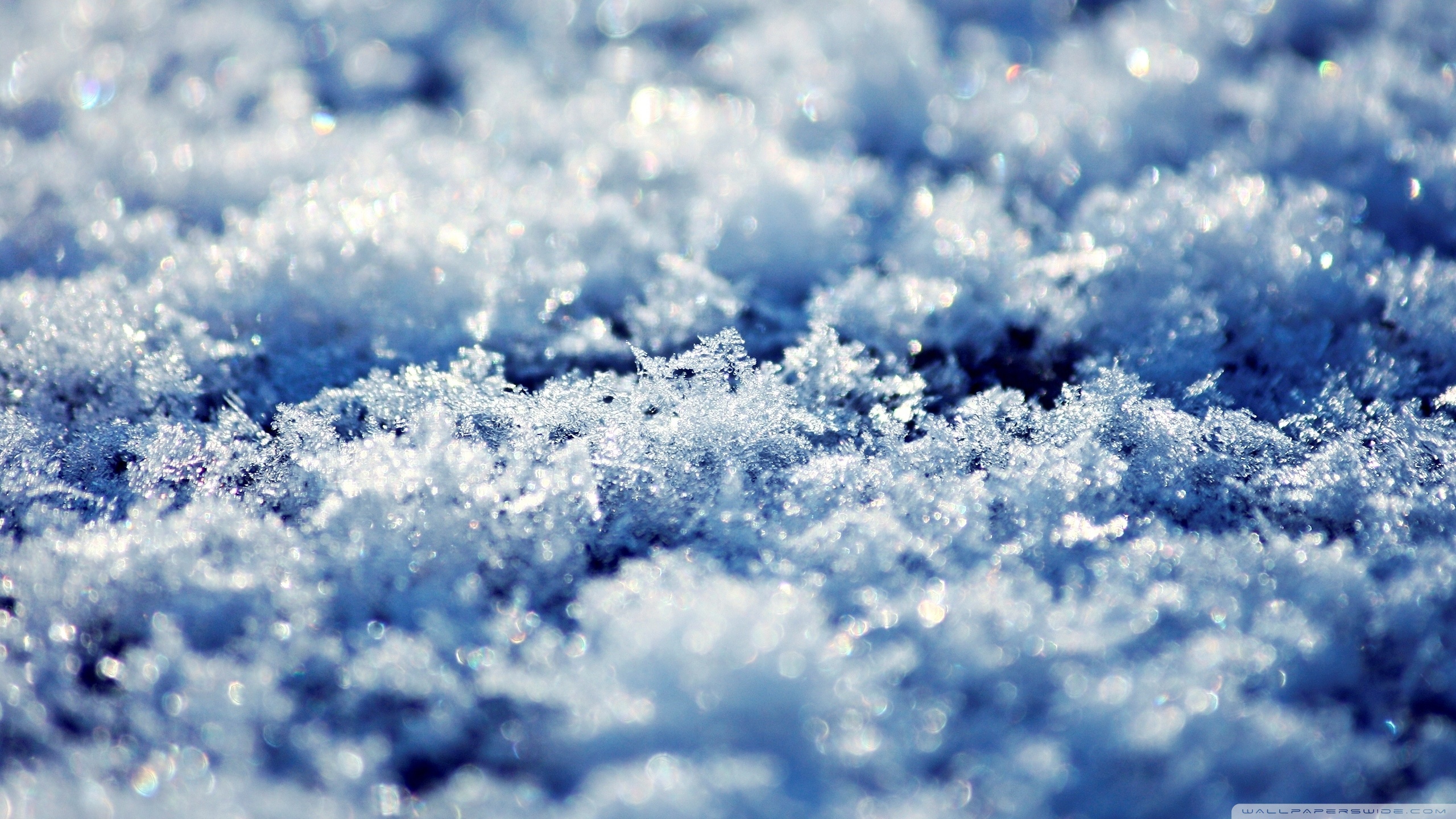Blue snow wallpaper and image, picture, photo