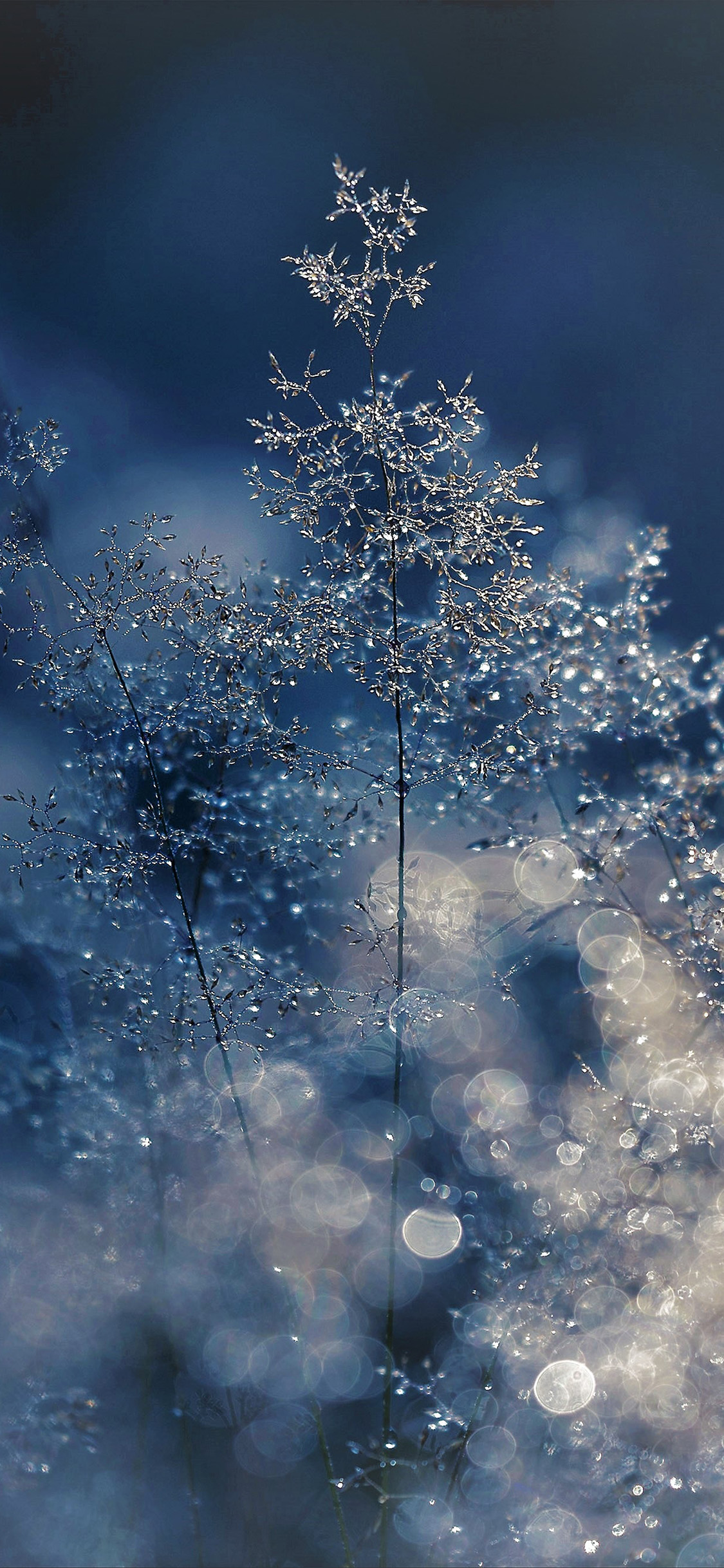 iPhone X wallpaper. snow bokeh light beautiful nature blue