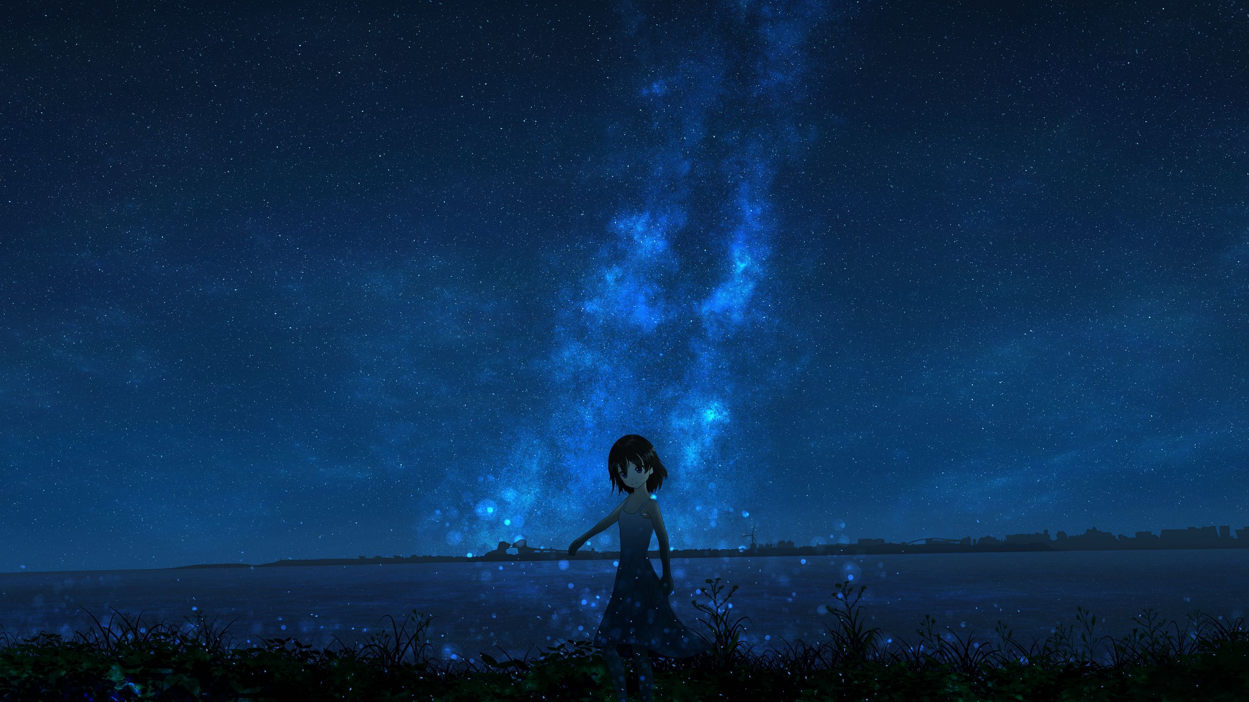 Download wallpaper 2560x1440 girl, night, starry sky, anime widescreen 16:9 HD background