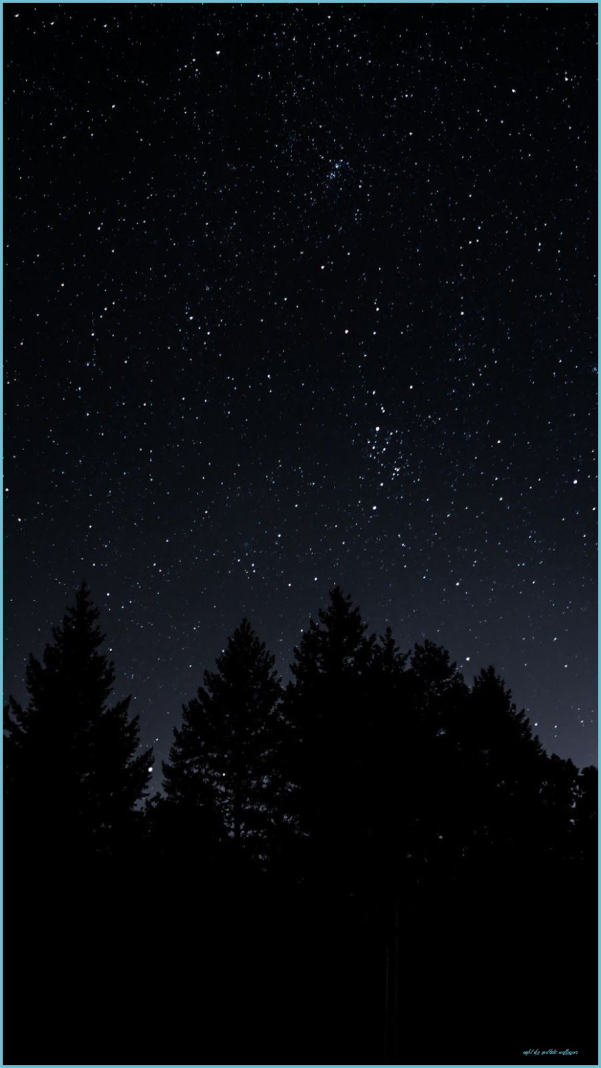 Sky Sky, Trees, Night, Id 13 Night Sky Wallpaper Sky Aesthetic Wallpaper